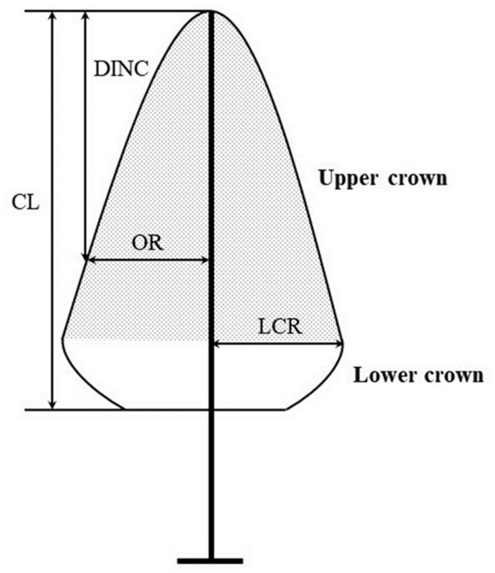 Sensors 20 05555 g005