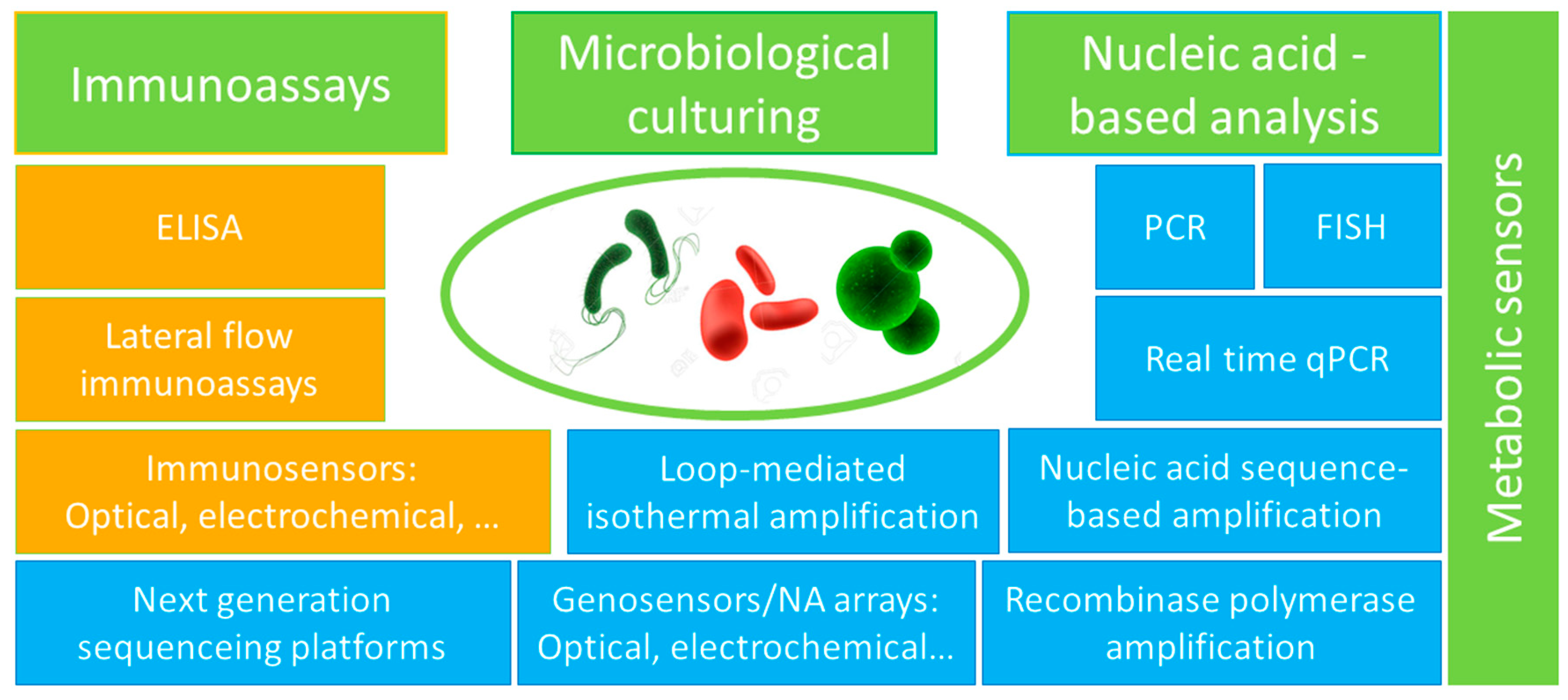 Sensors 20 05561 g001