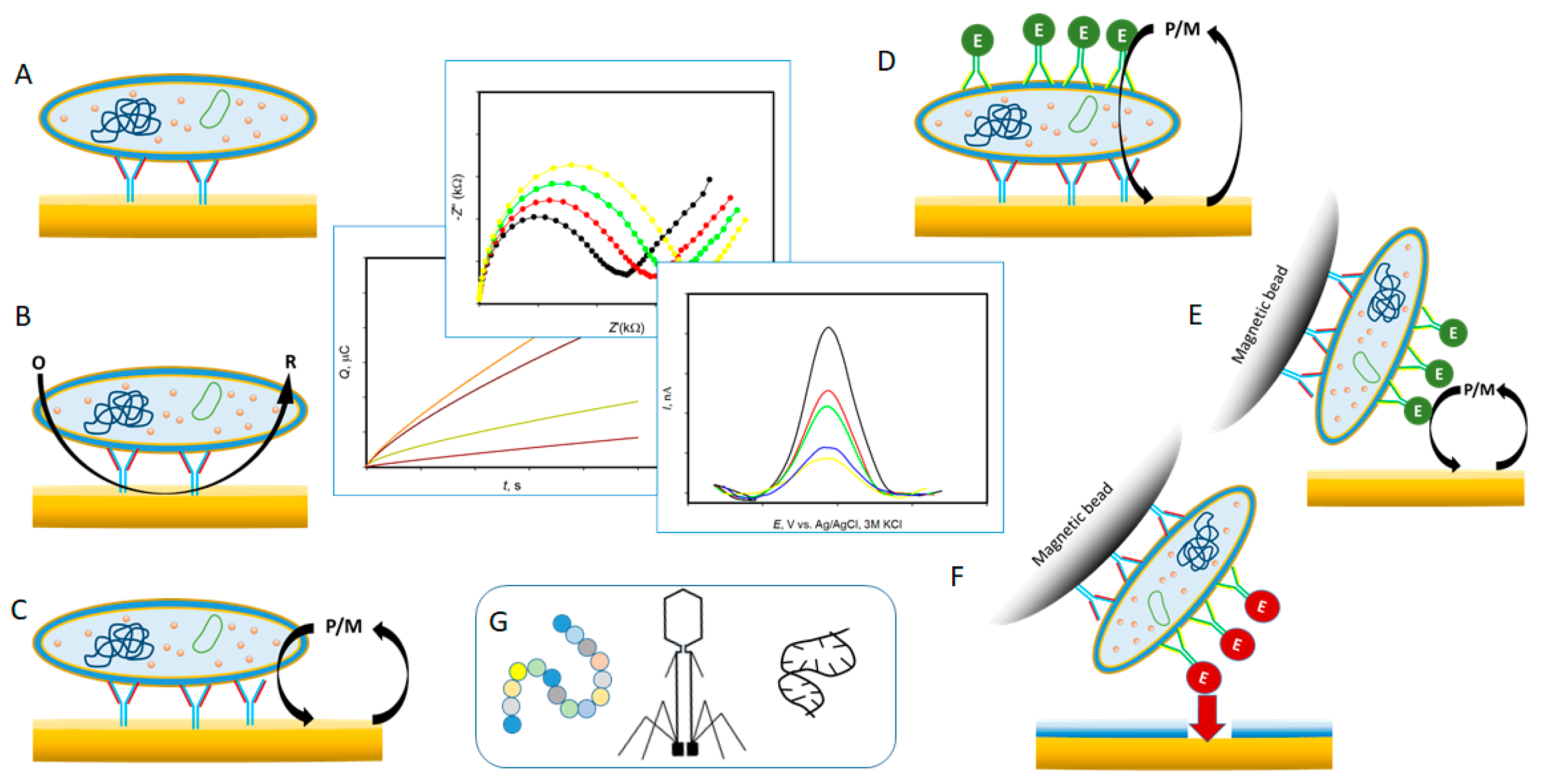 Sensors 20 05561 g002