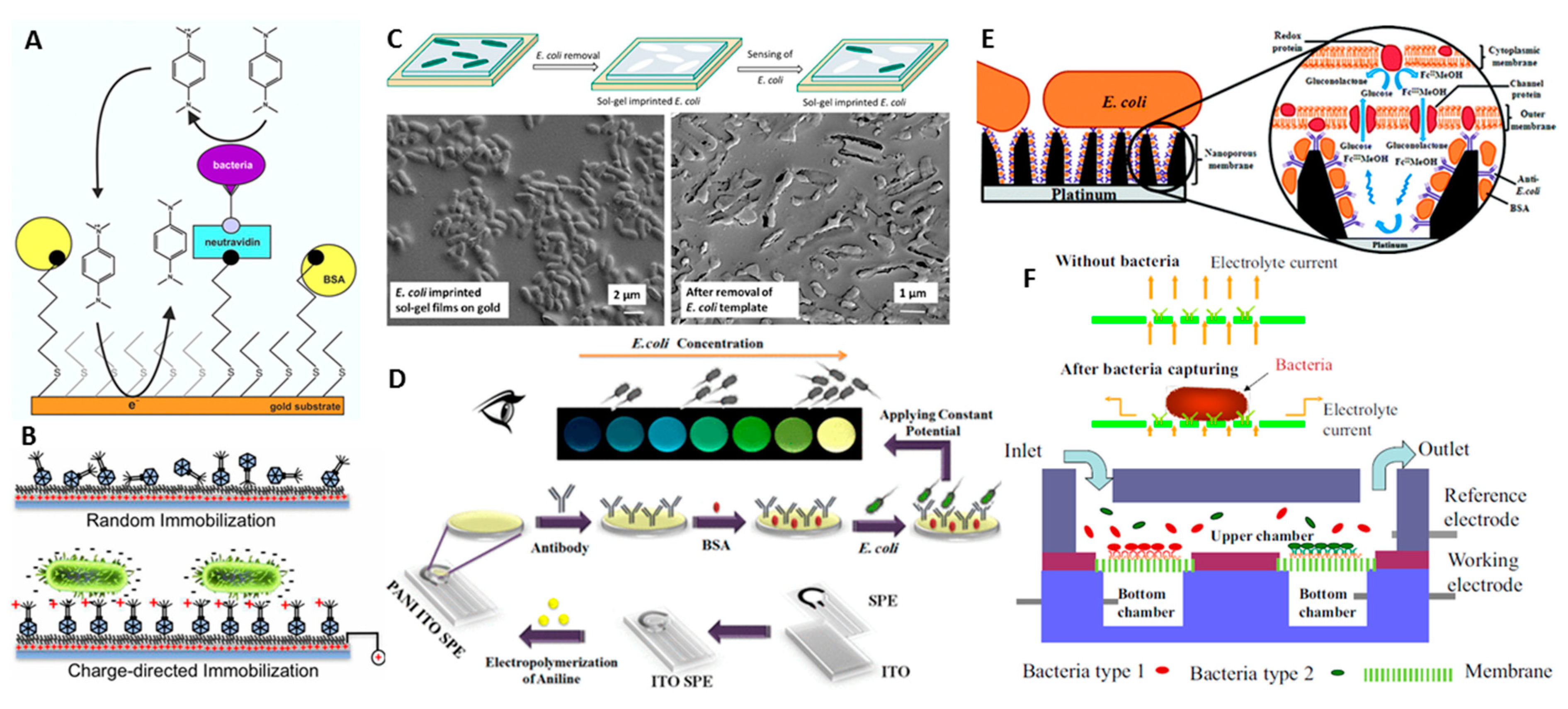 Sensors 20 05561 g003