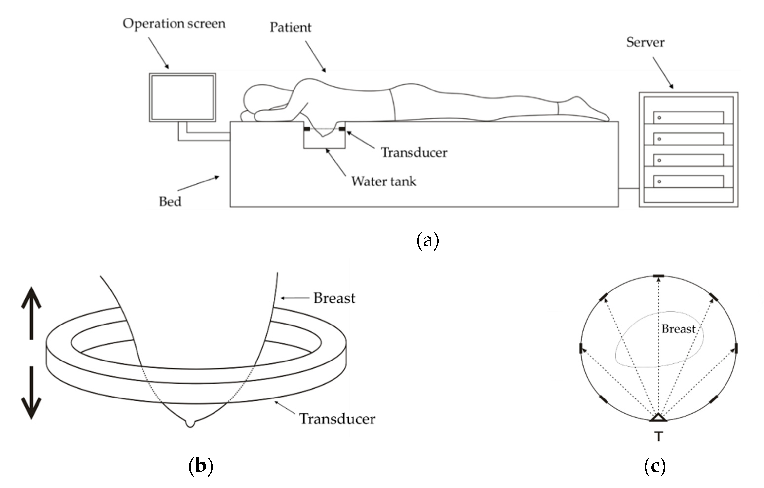 Sensors 20 05563 g001