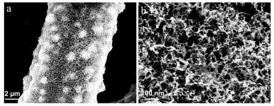 Sensors 20 05571 g0a1