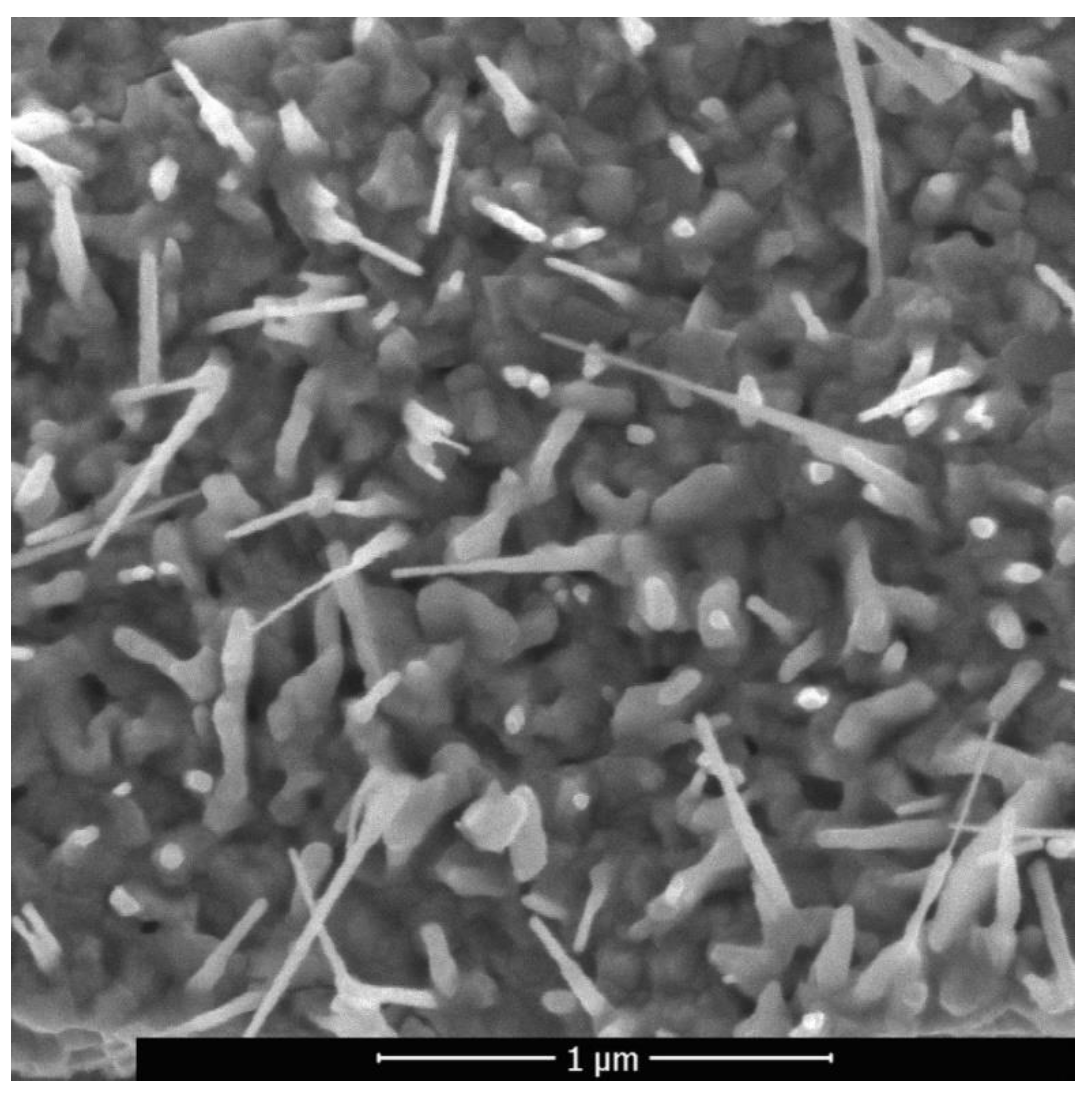 Sensors 20 05575 g007