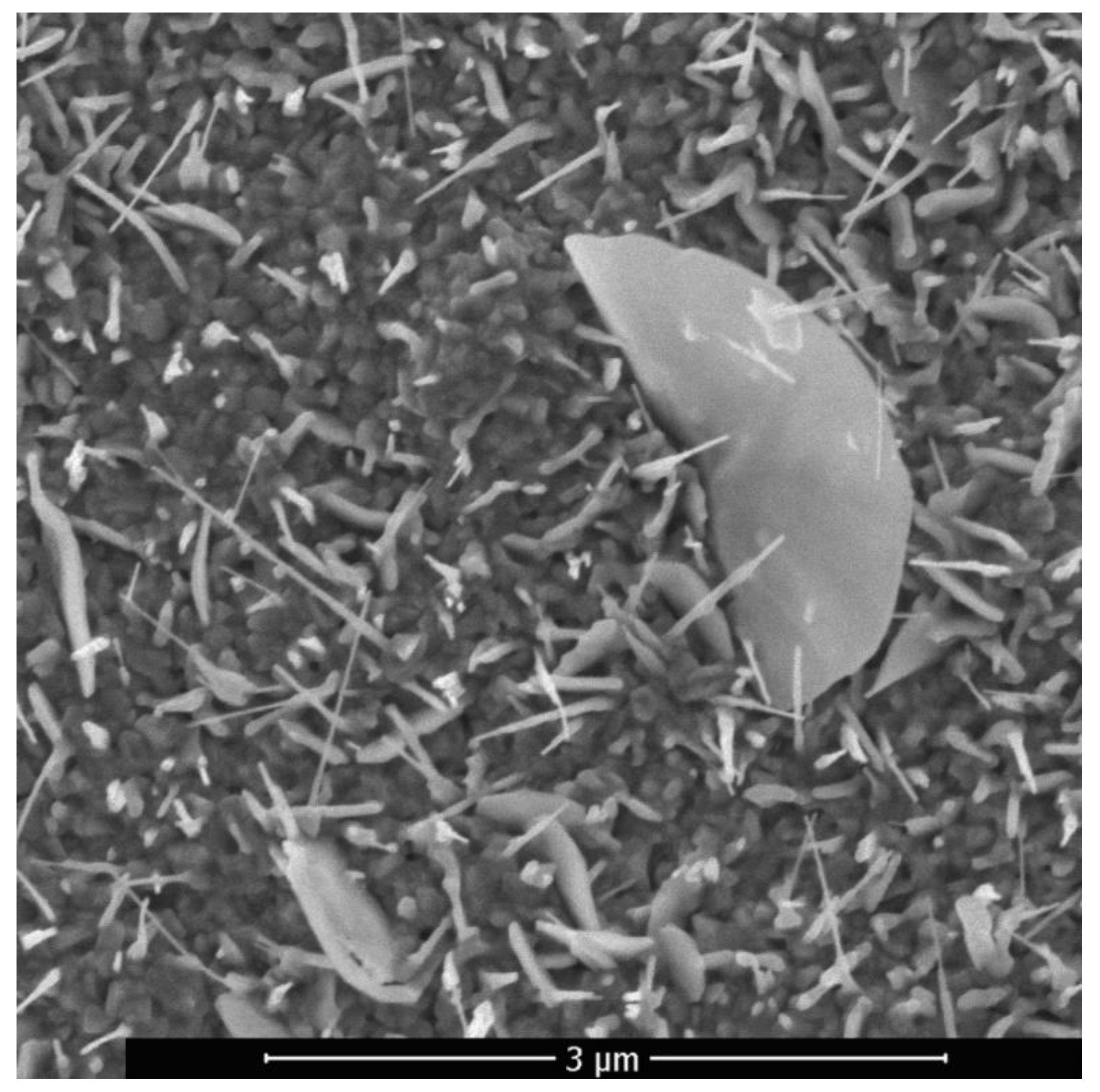 Sensors 20 05575 g008