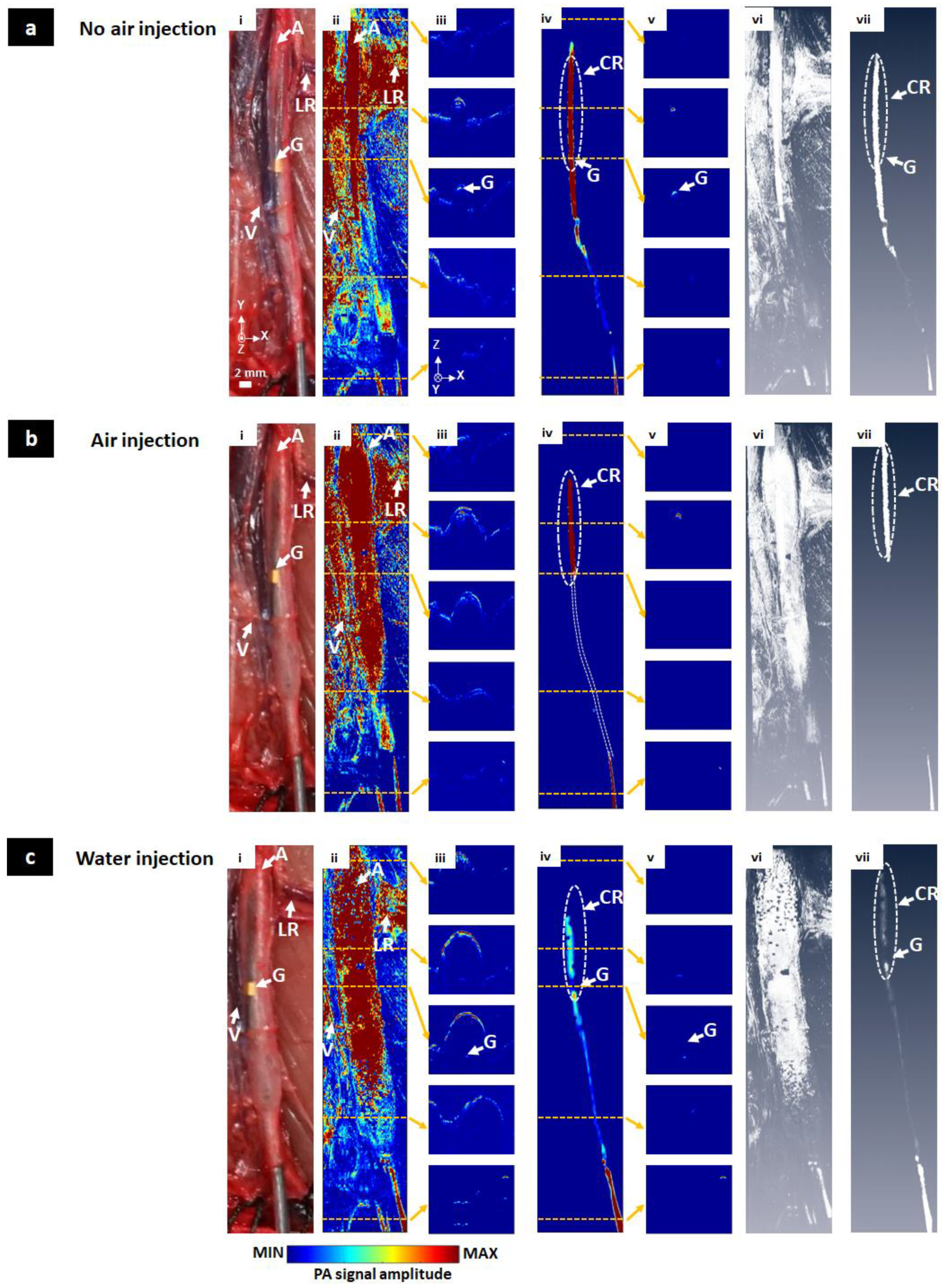 Sensors 20 05585 g005 Sensors 20 05585 g005