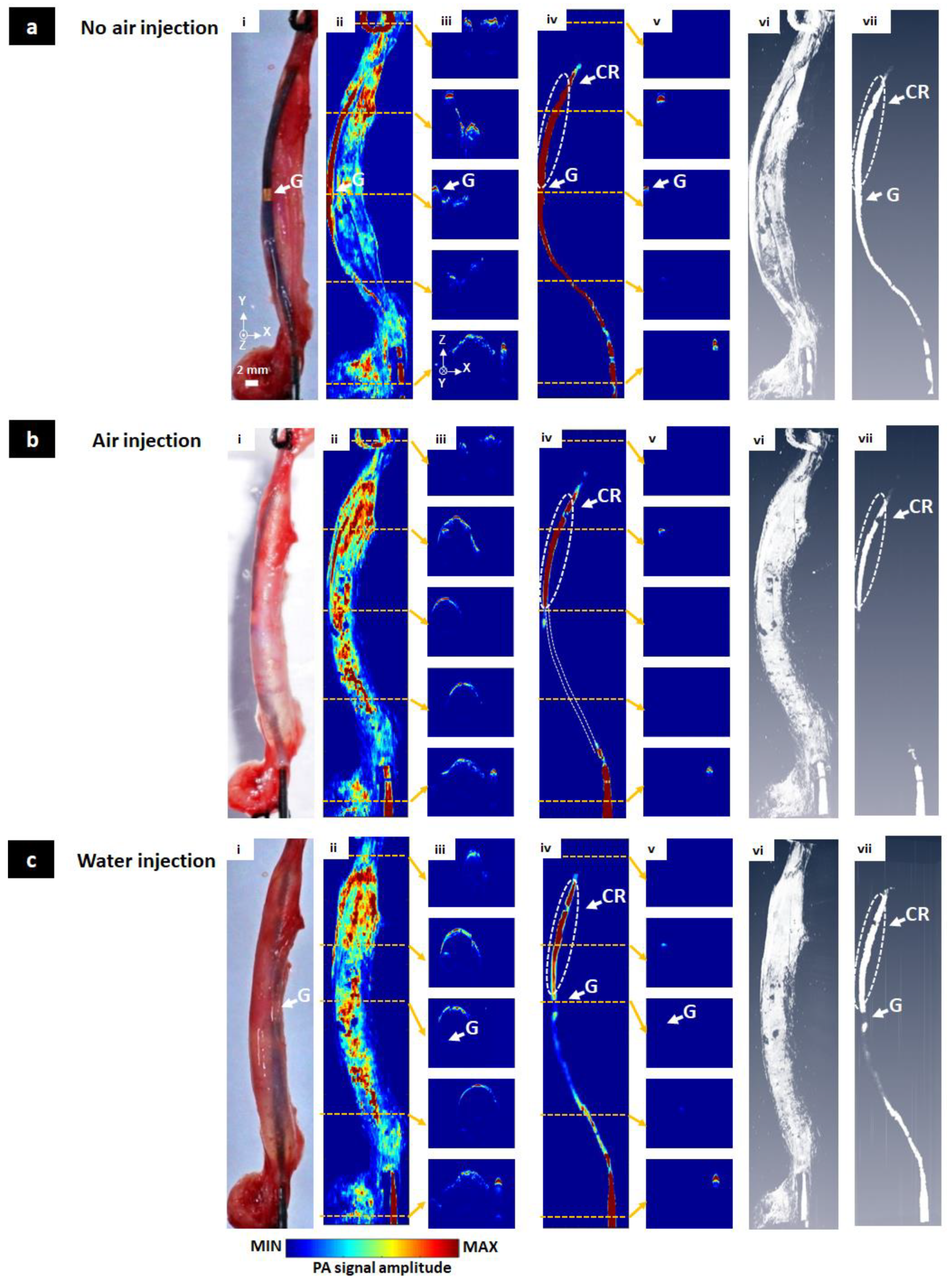 Sensors 20 05585 g006 Sensors 20 05585 g006