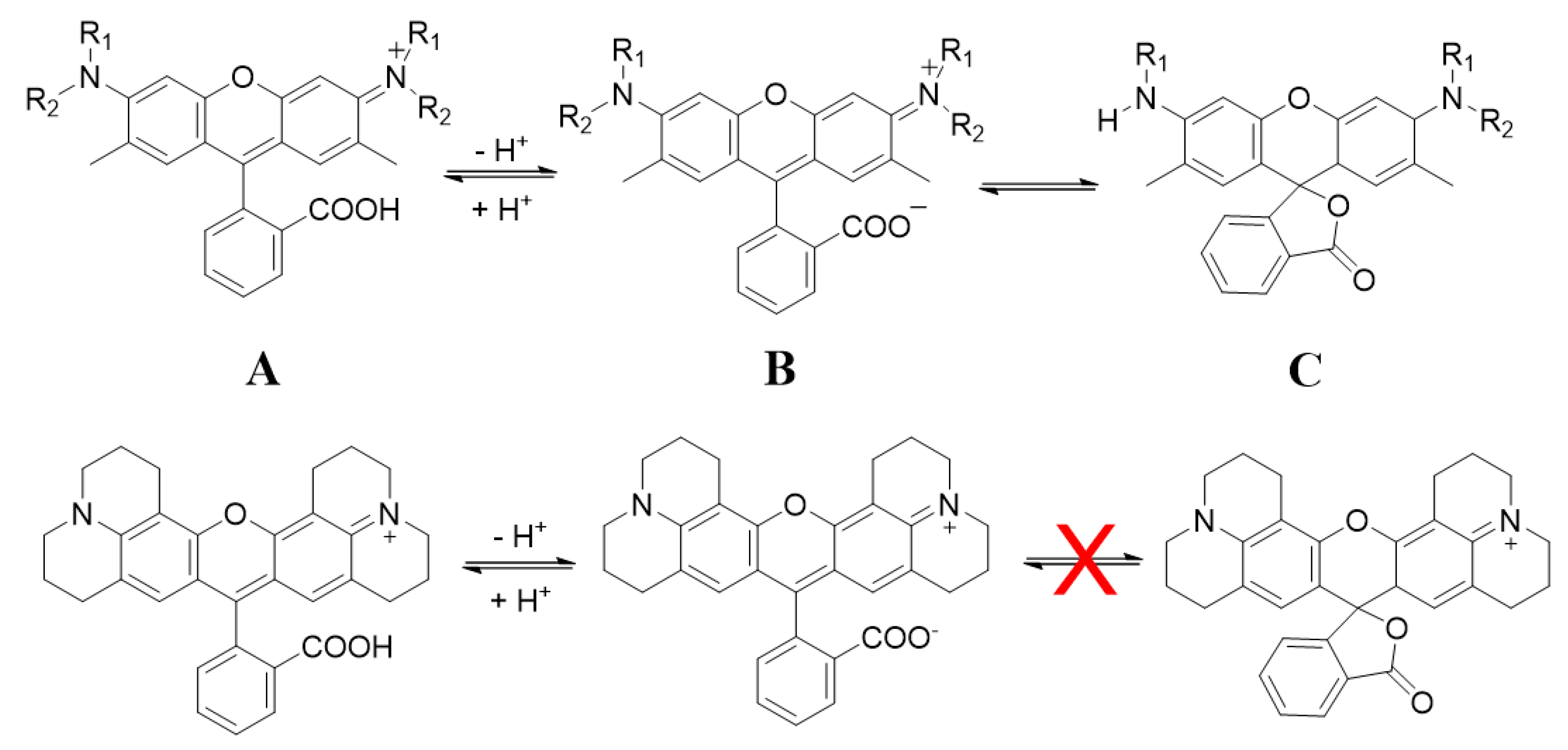 Sensors 20 05590 g003
