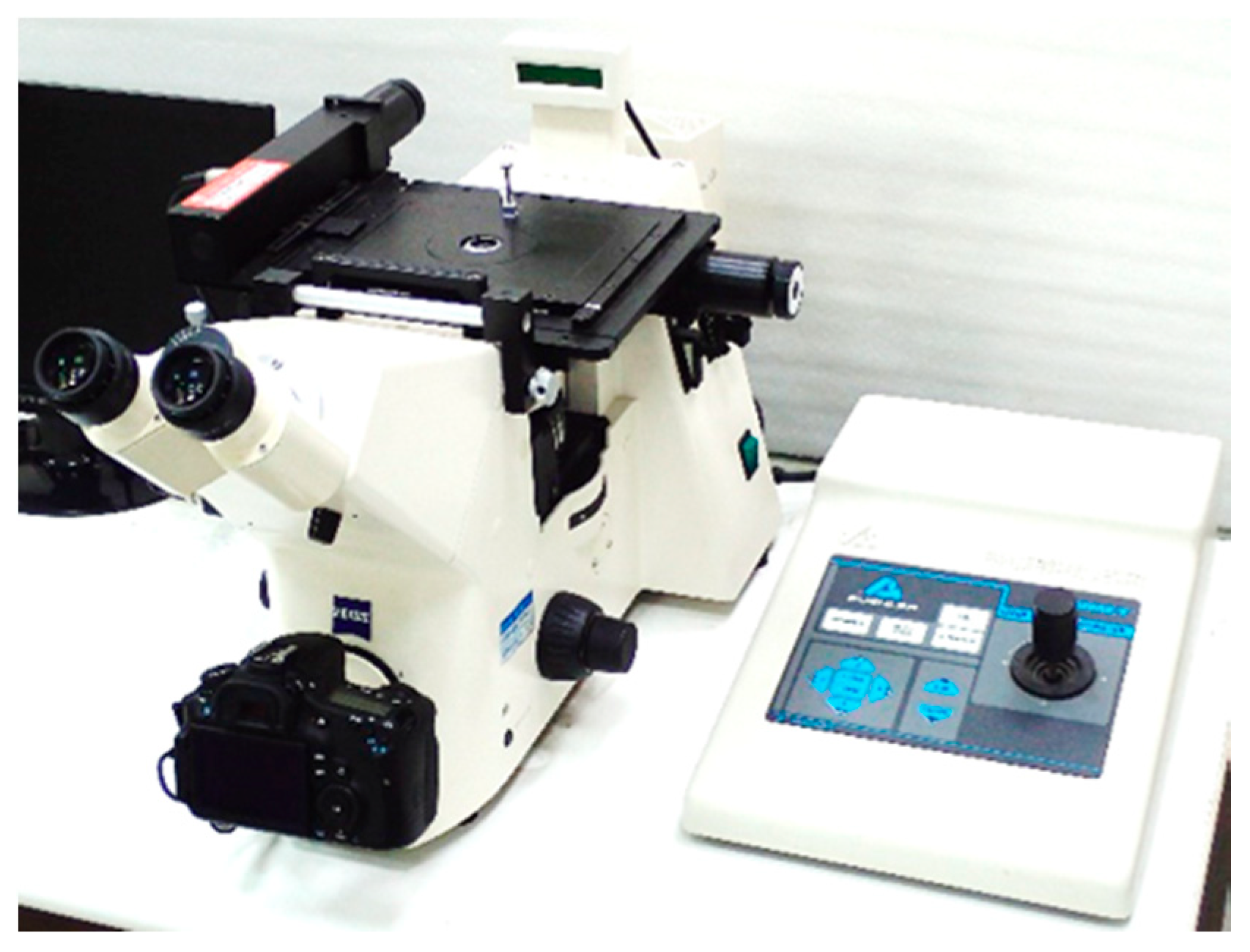 Sensors 20 05593 g001