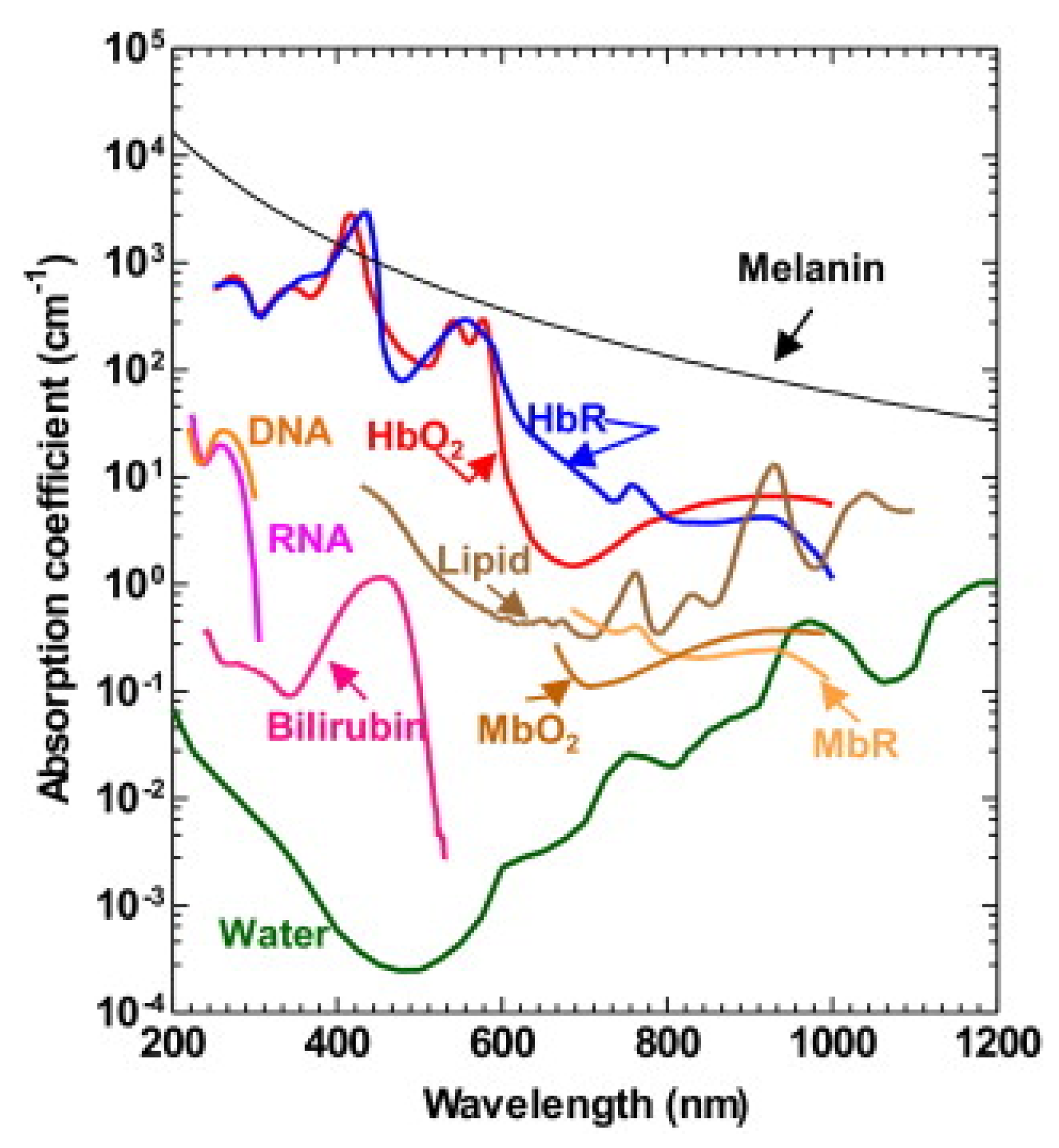 Sensors 20 05595 g001