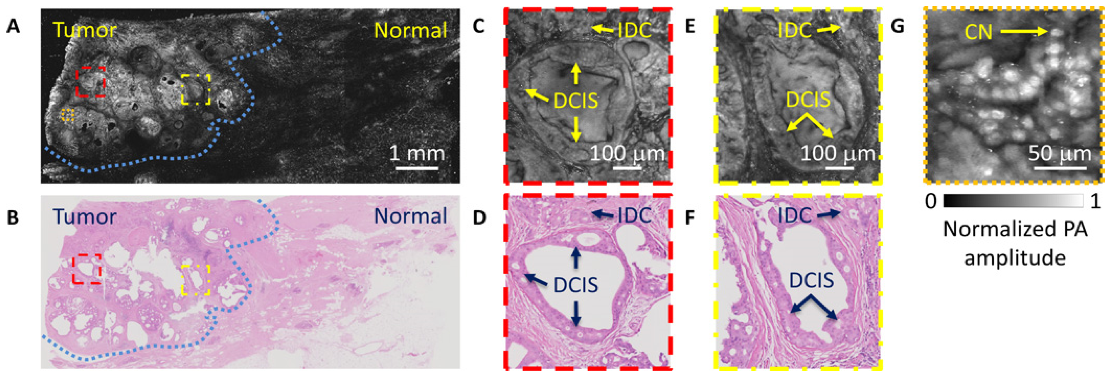 Sensors 20 05595 g002