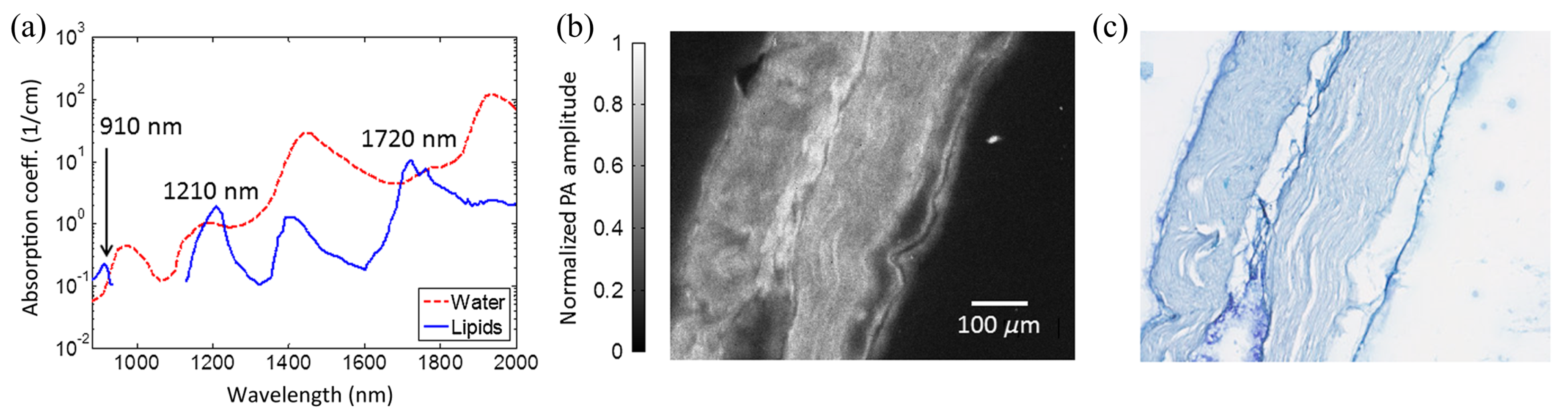Sensors 20 05595 g003