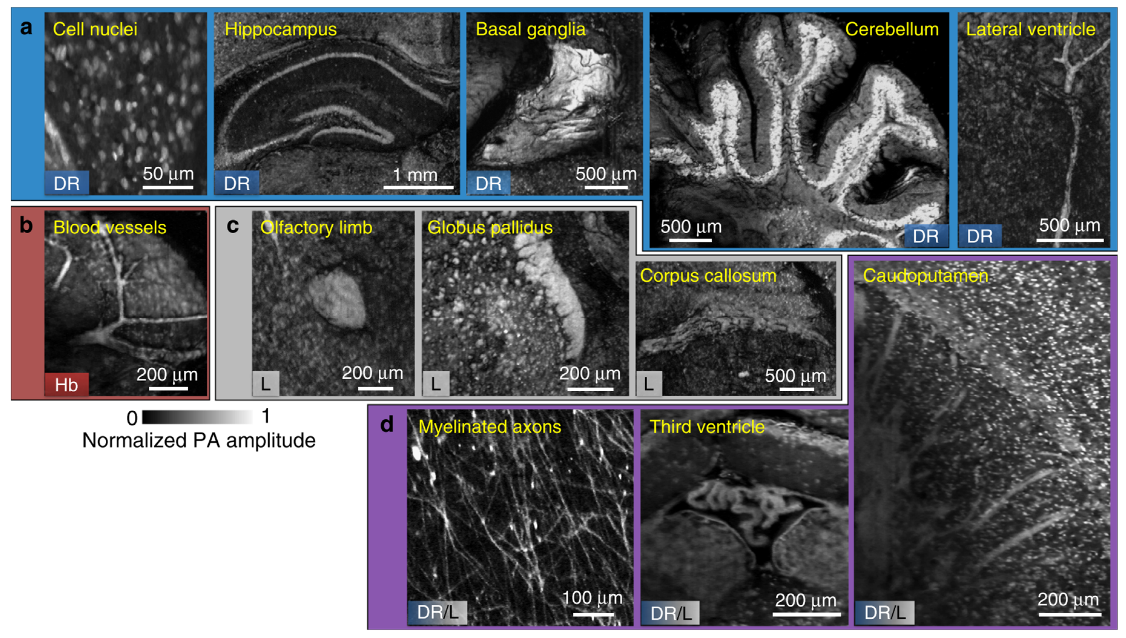 Sensors 20 05595 g004