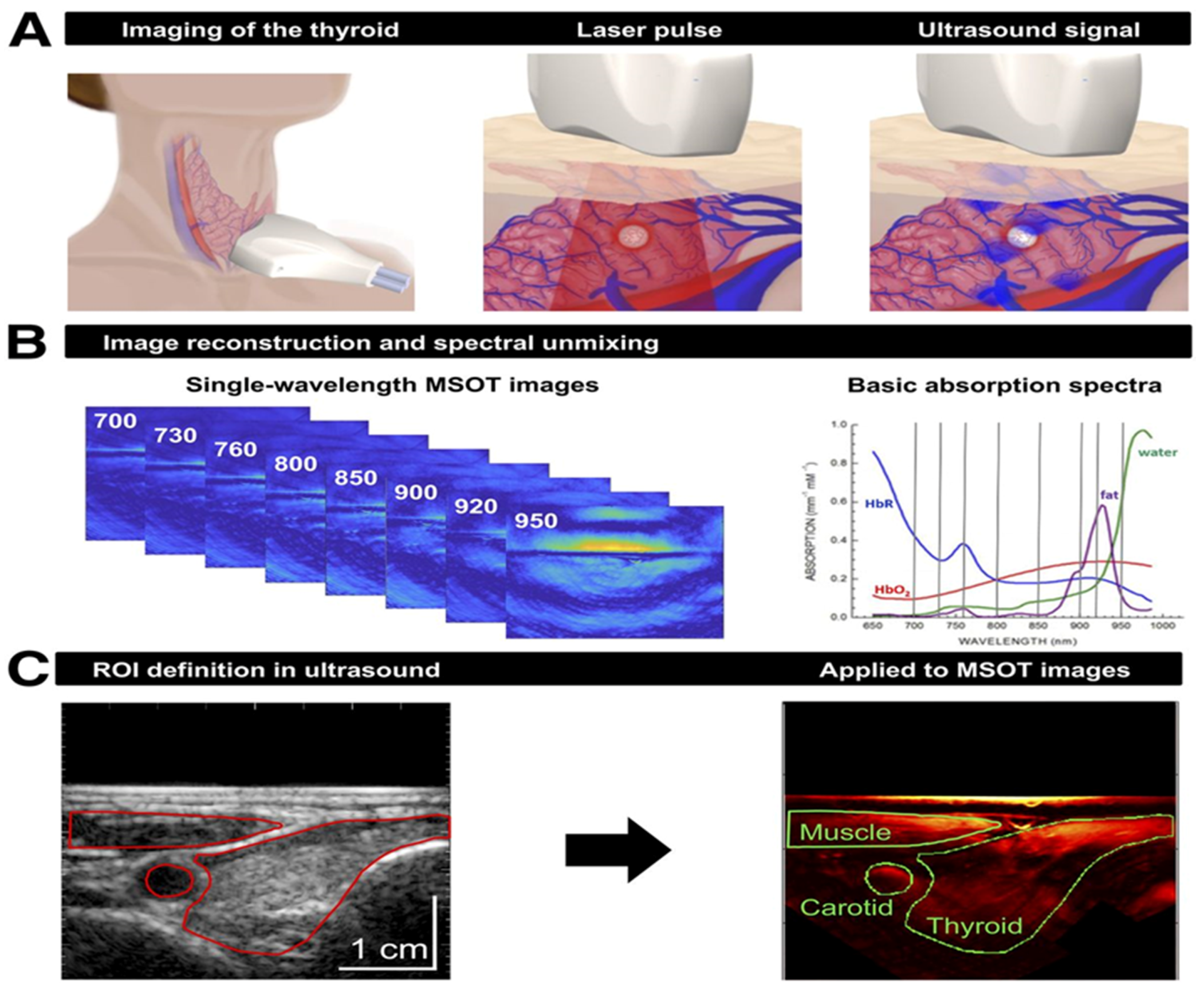 Sensors 20 05595 g005