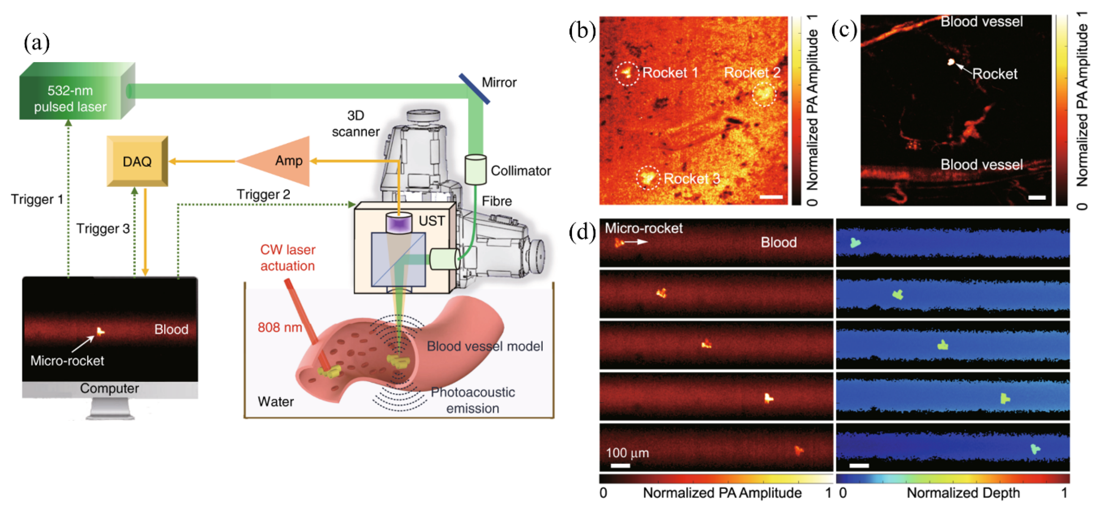 Sensors 20 05595 g011