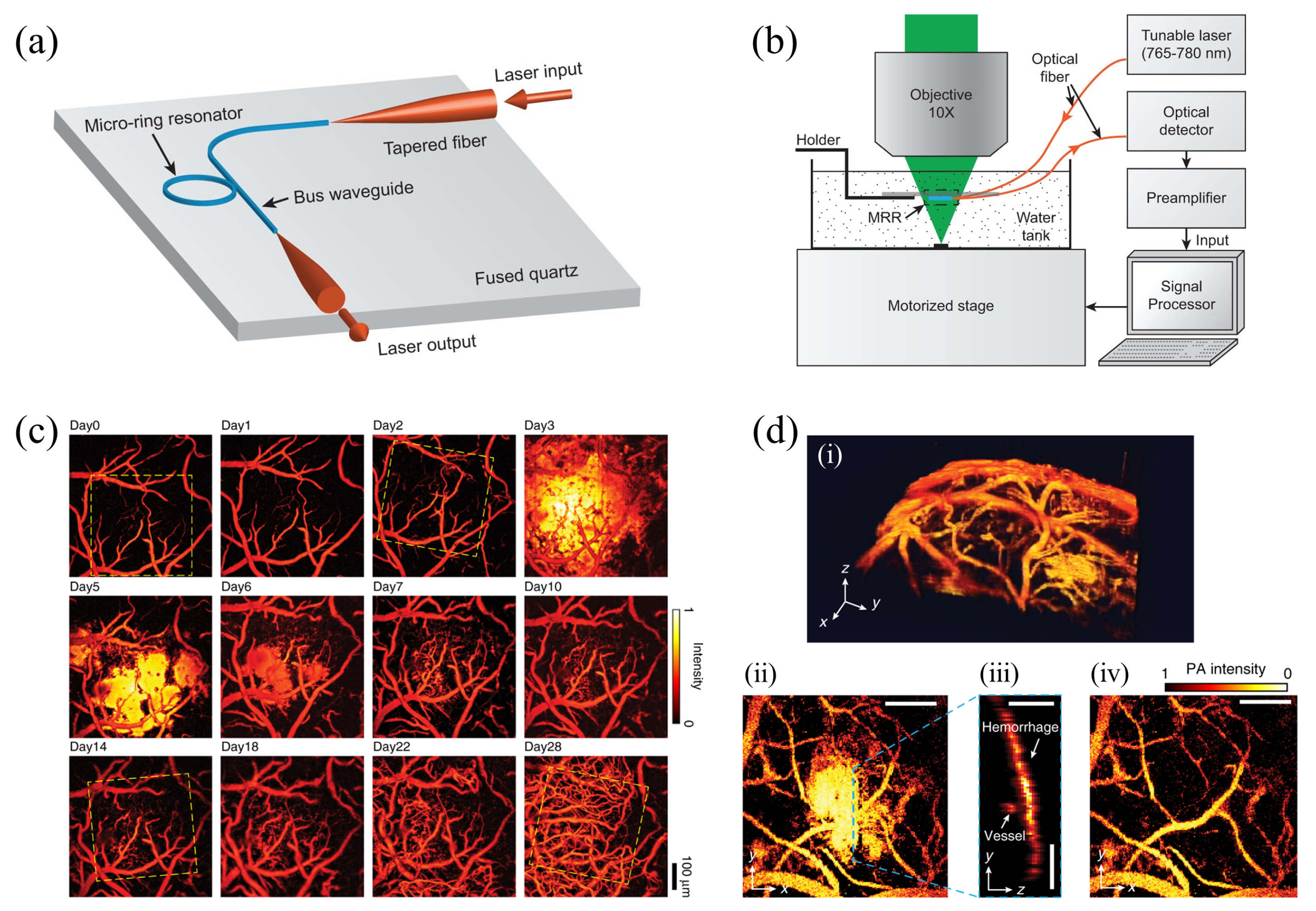 Sensors 20 05595 g012