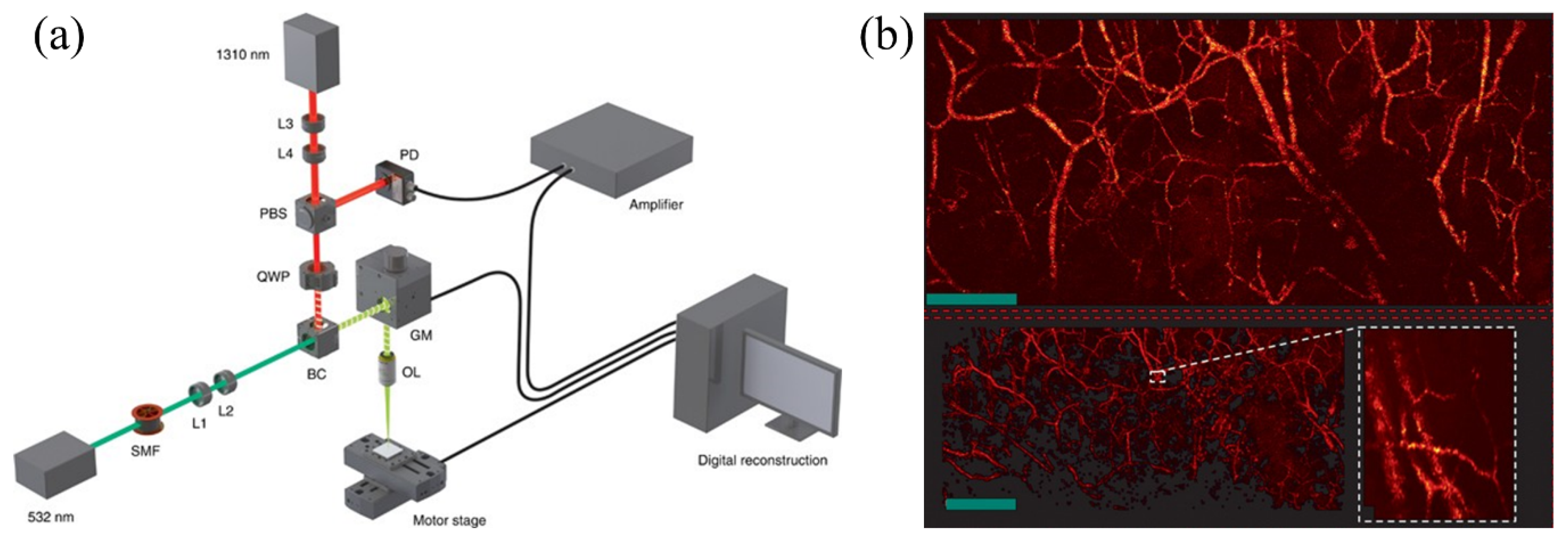 Sensors 20 05595 g013