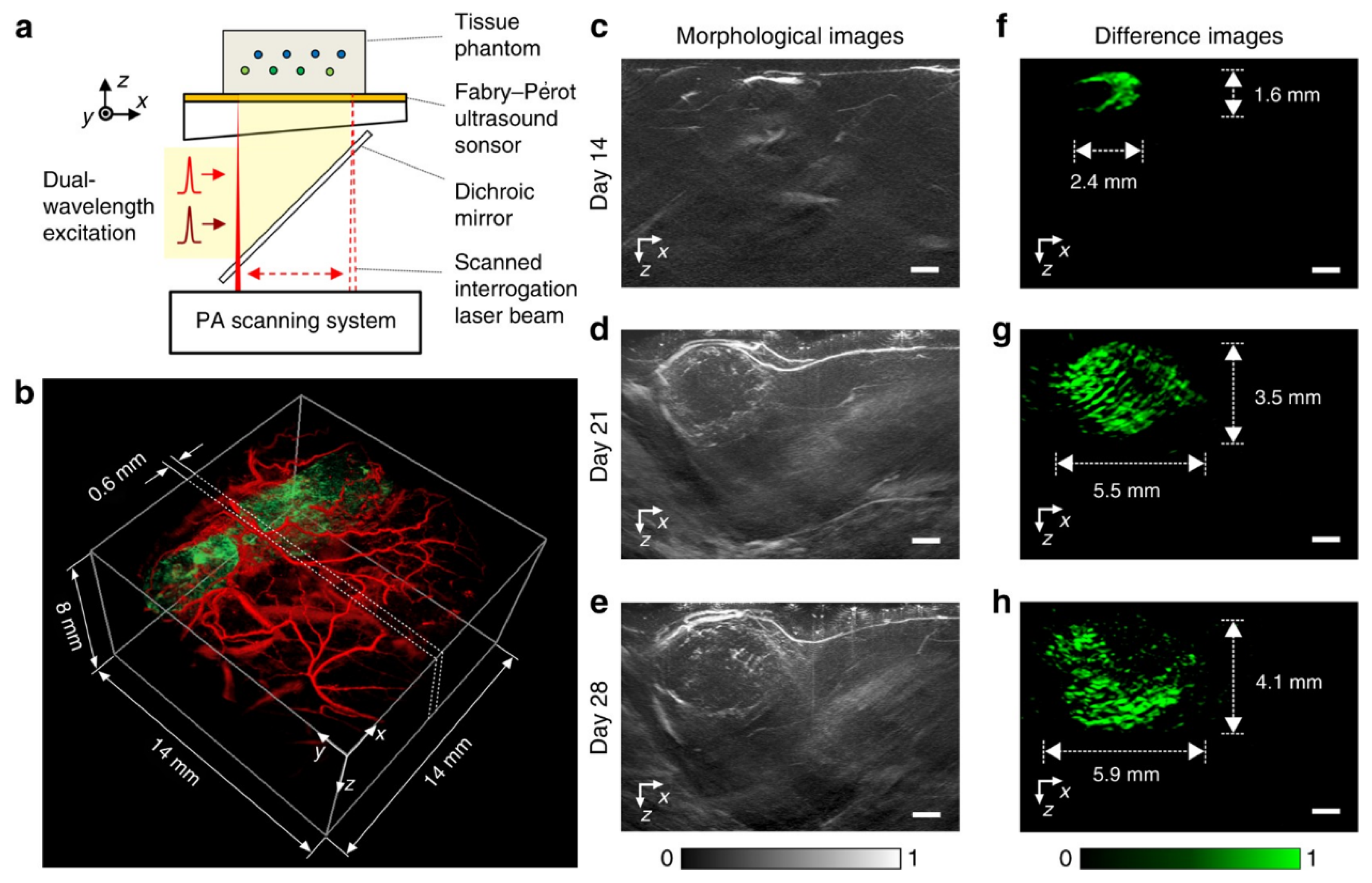 Sensors 20 05595 g014