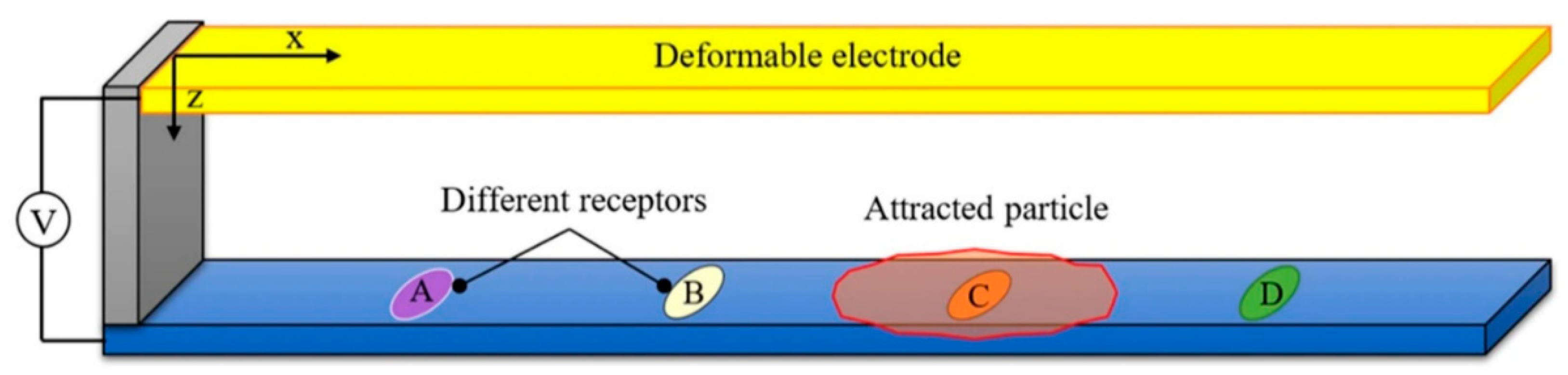 Sensors 20 05605 g004