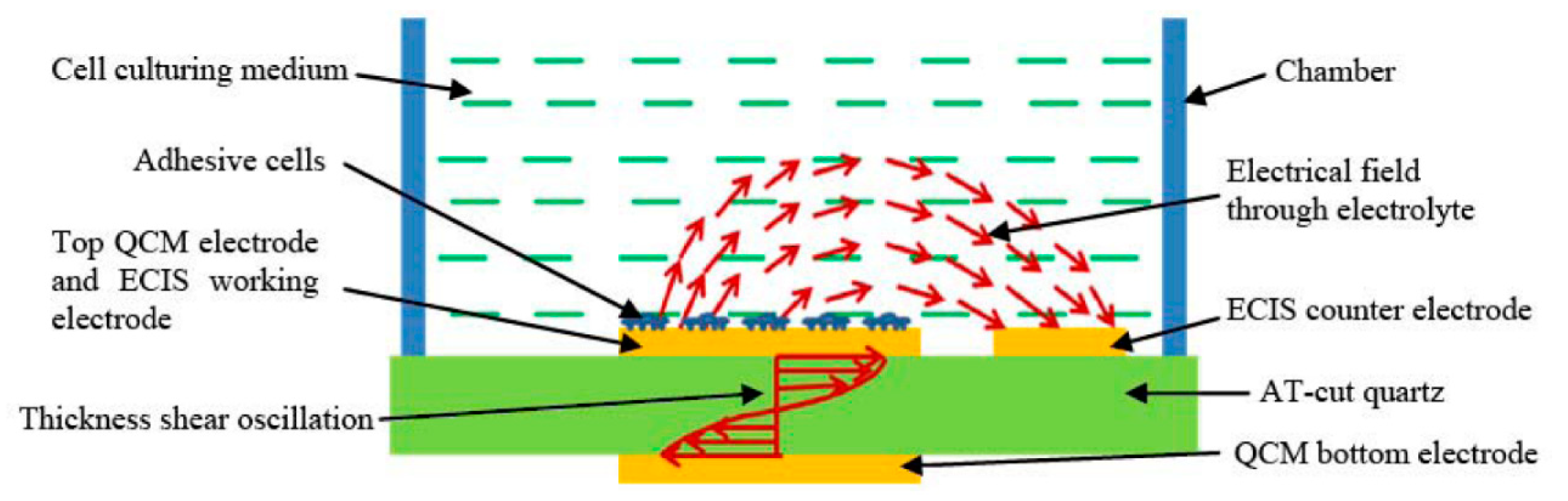Sensors 20 05605 g010