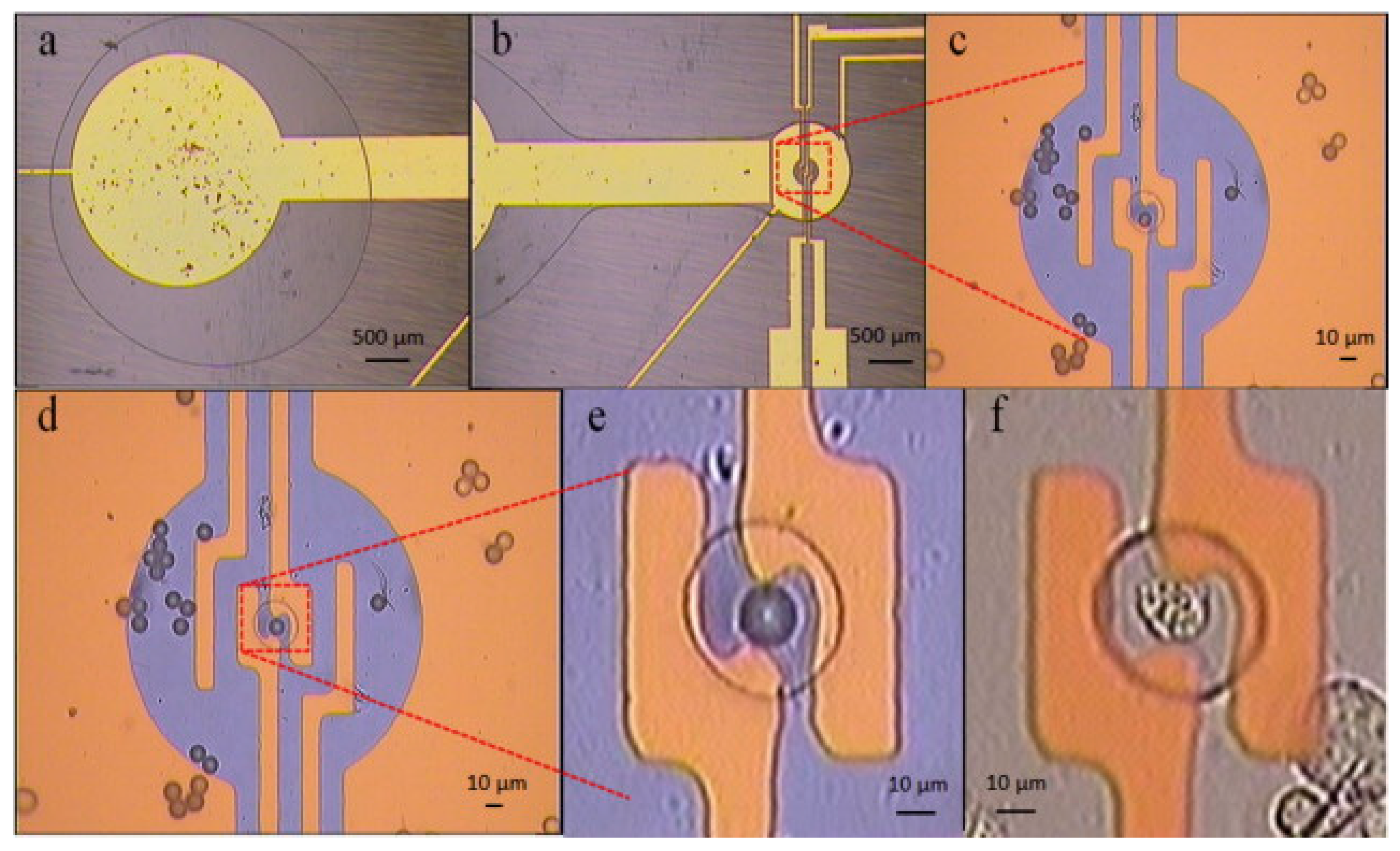 Sensors 20 05605 g013