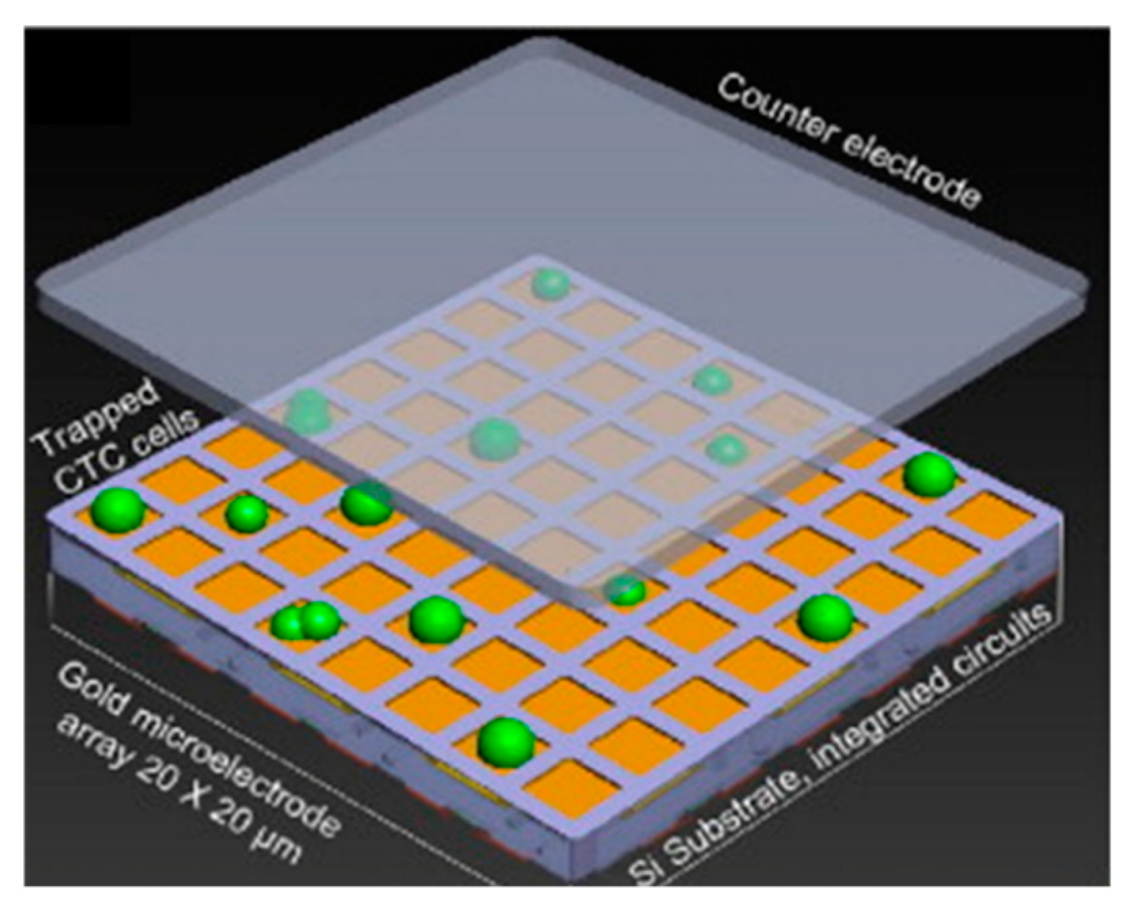 Sensors 20 05605 g015
