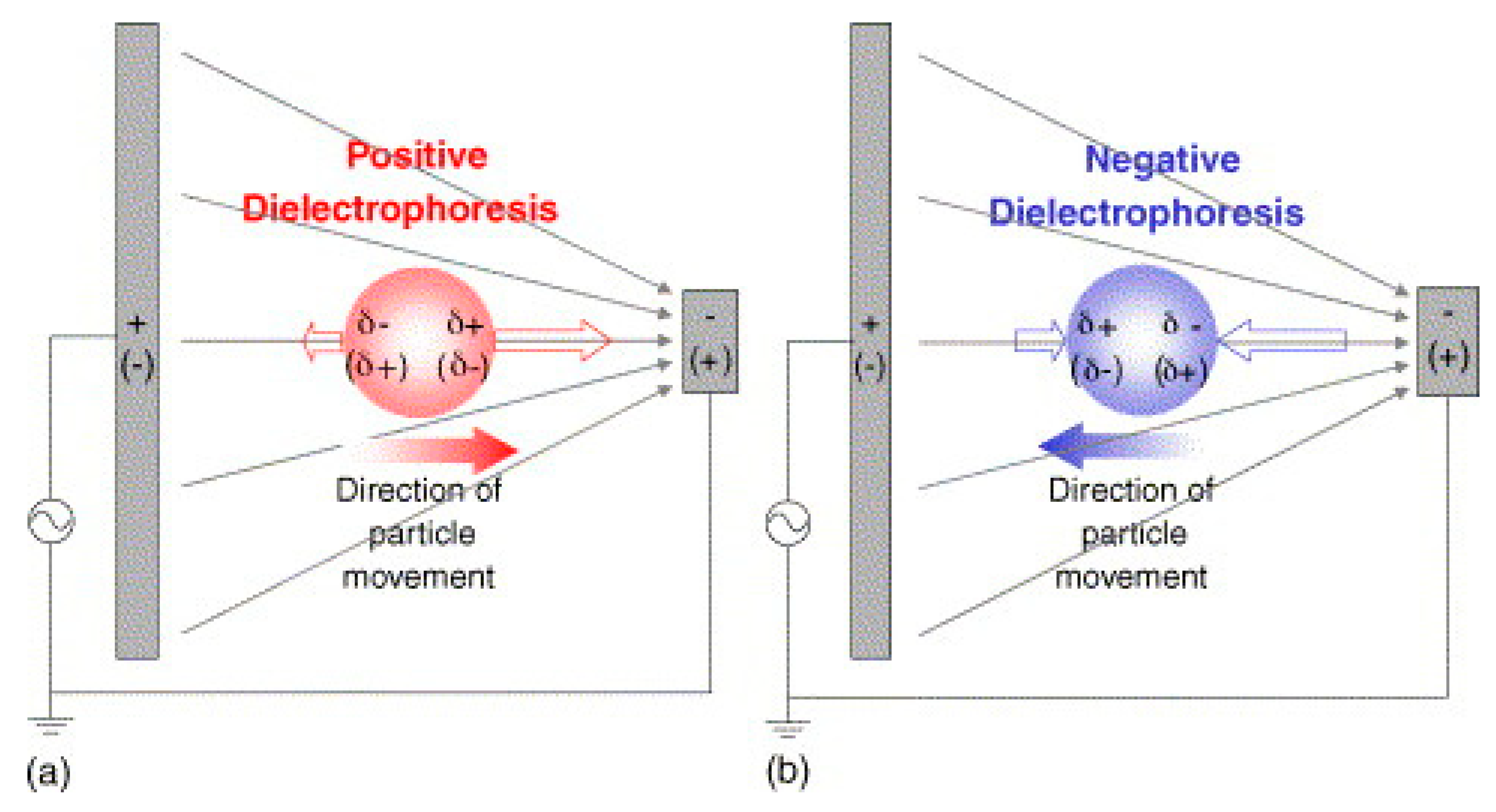 Sensors 20 05605 g016