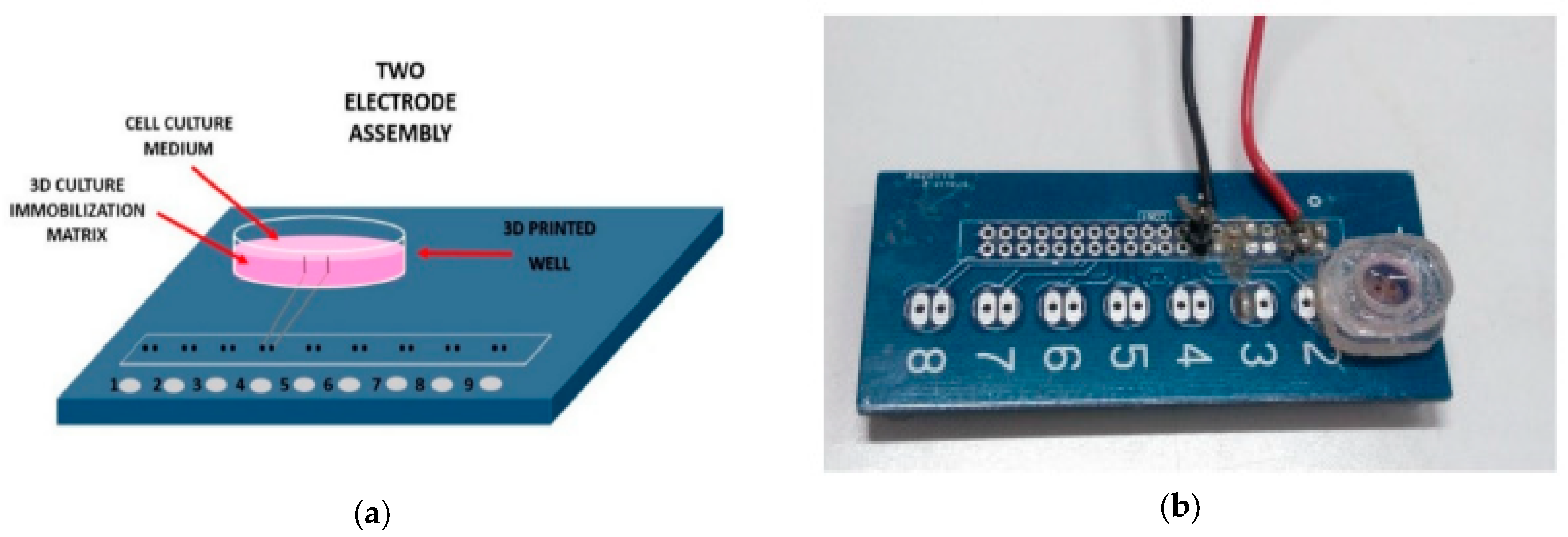 Sensors 20 05617 g002 Sensors 20 05617 g002