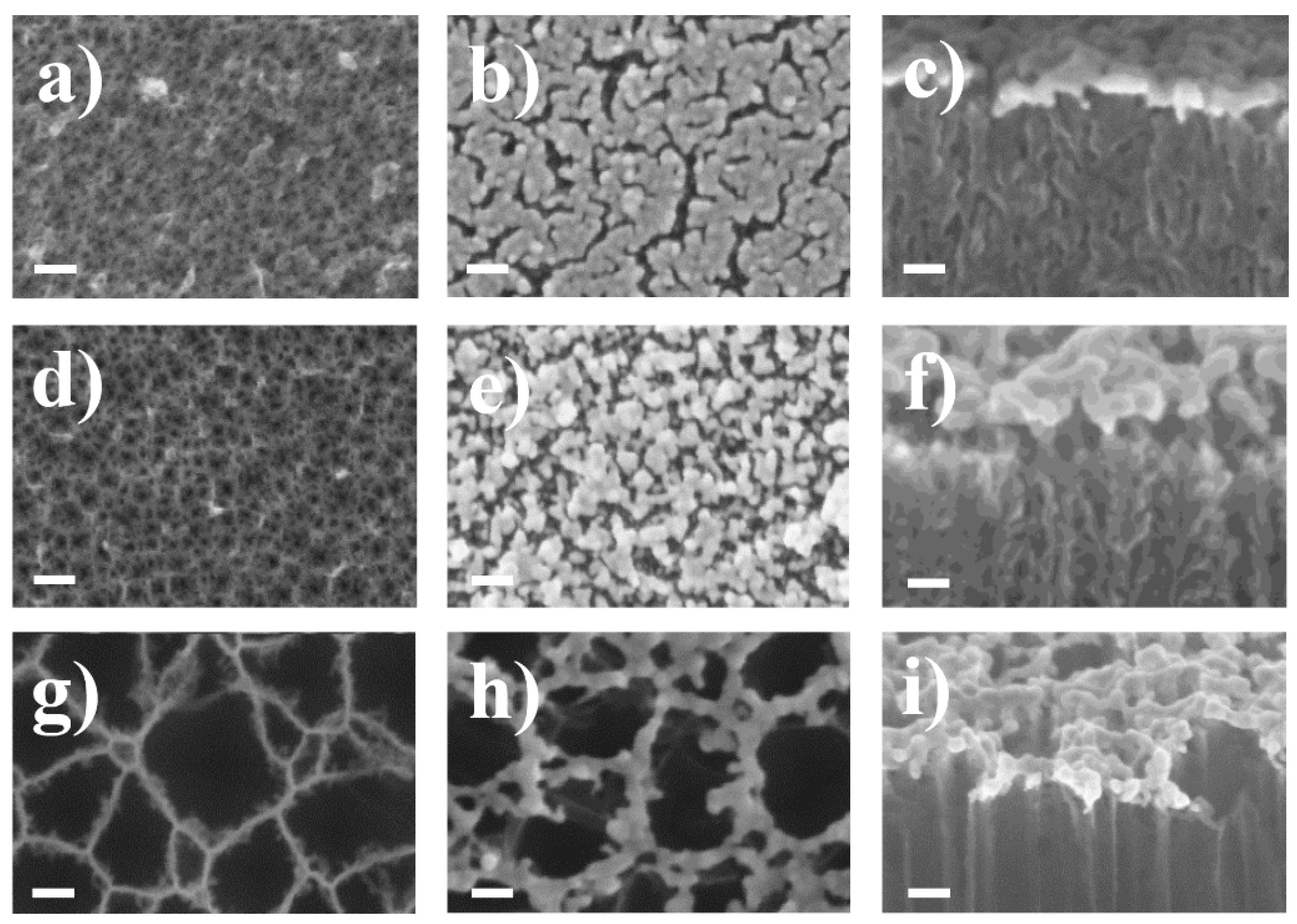 Sensors 20 05634 g001