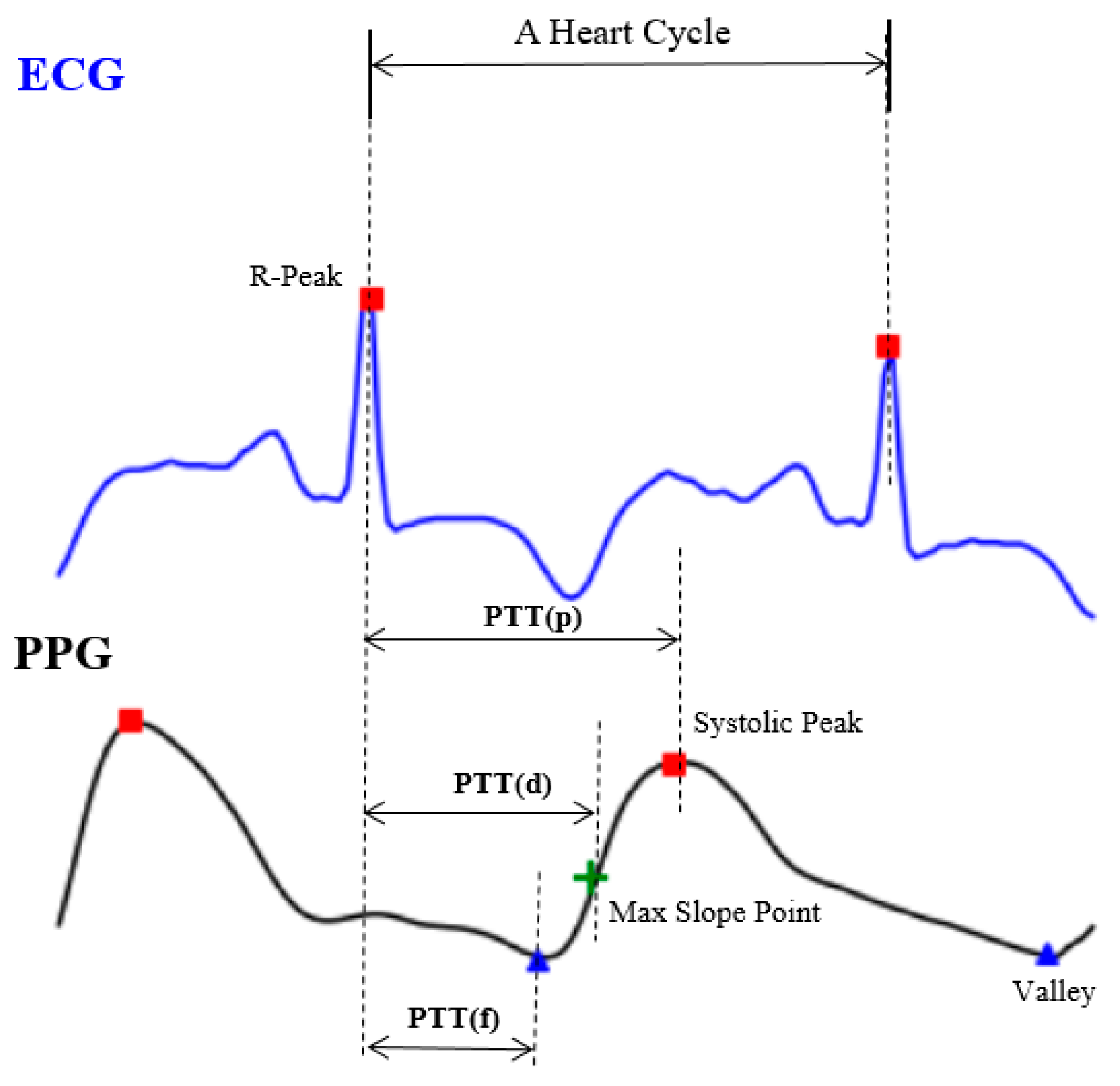 Sensors 20 05668 g002