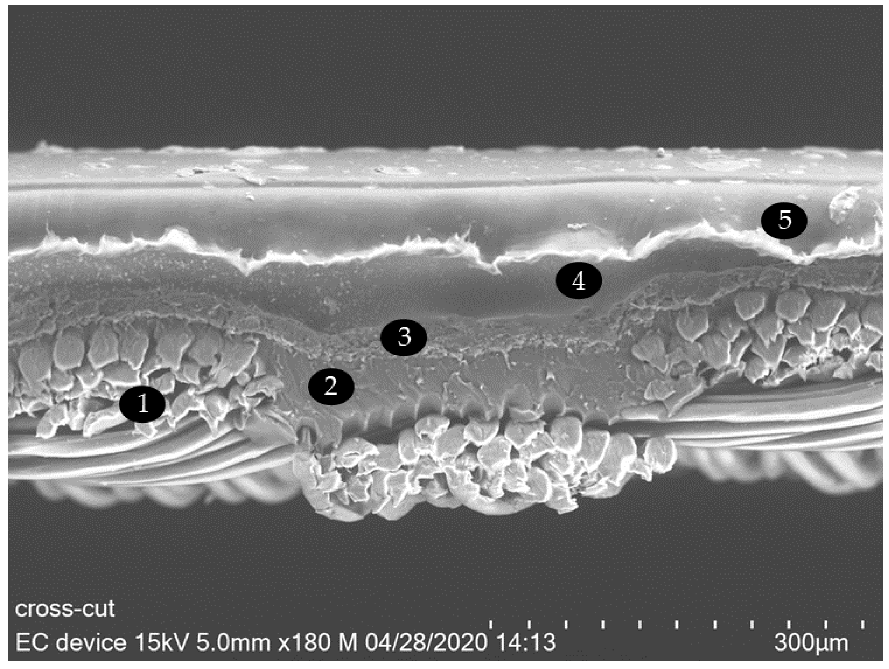 Sensors 20 05691 g007