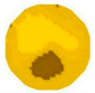 Sensors 20 05697 i017 Sensors 20 05697 i017