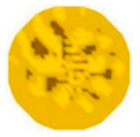 Sensors 20 05697 i019 Sensors 20 05697 i019