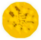 Sensors 20 05697 i020 Sensors 20 05697 i020