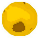 Sensors 20 05697 i032 Sensors 20 05697 i032