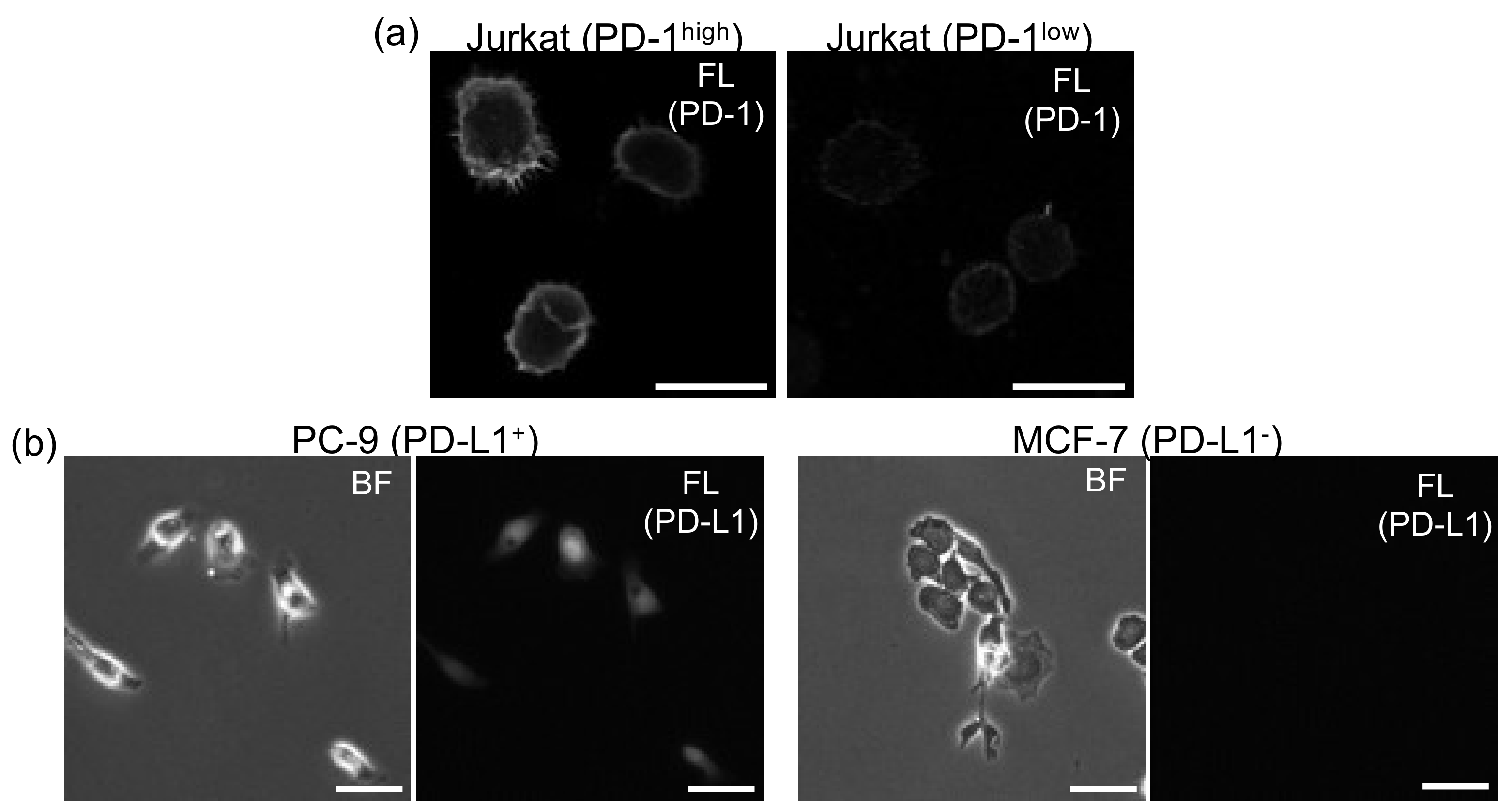 Sensors 20 05723 g001