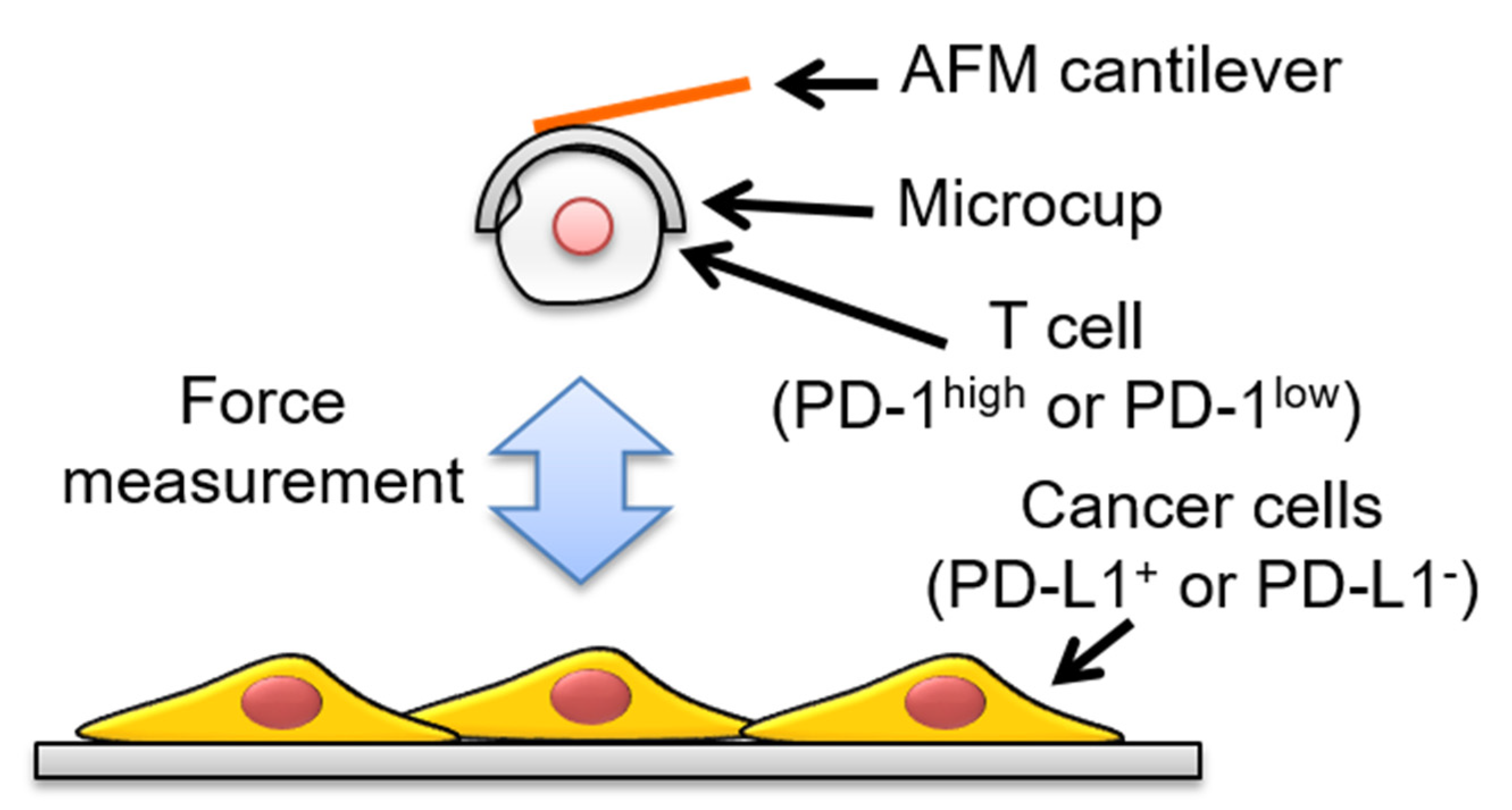 Sensors 20 05723 g002