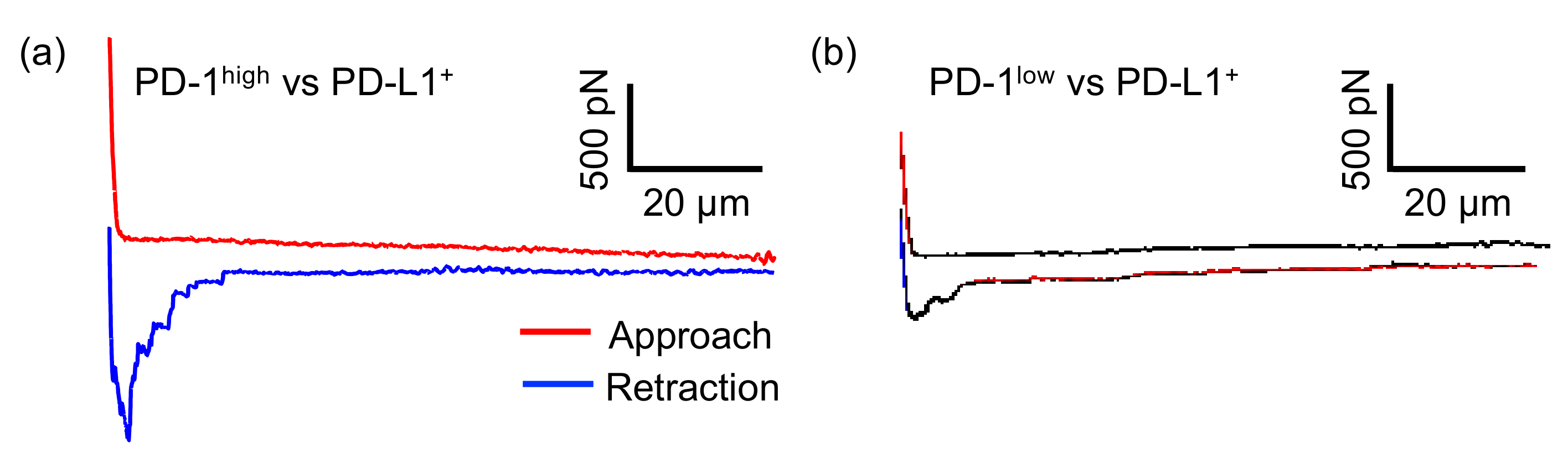 Sensors 20 05723 g003