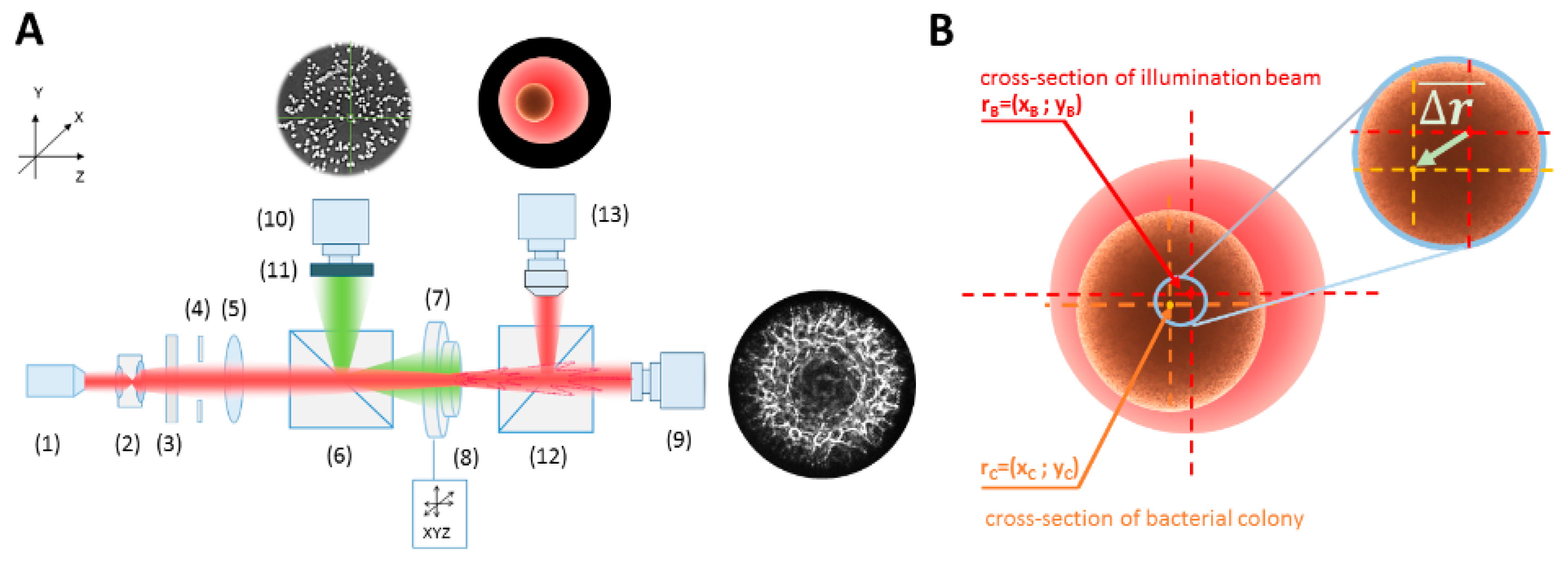 Sensors 20 05797 g001 Sensors 20 05797 g001