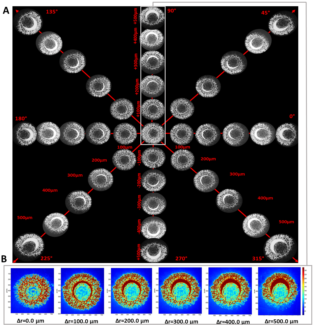 Sensors 20 05797 g004 Sensors 20 05797 g004