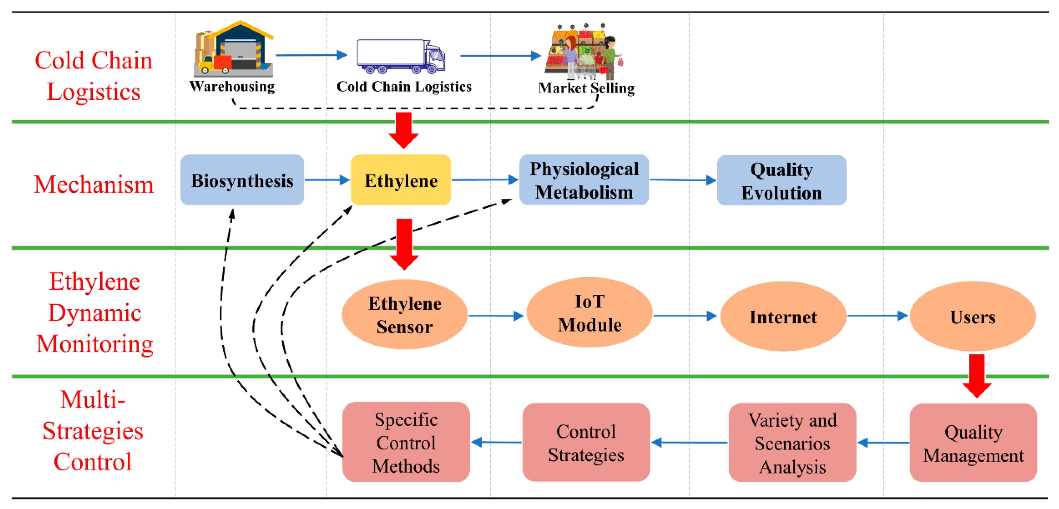Sensors 20 05830 g001
