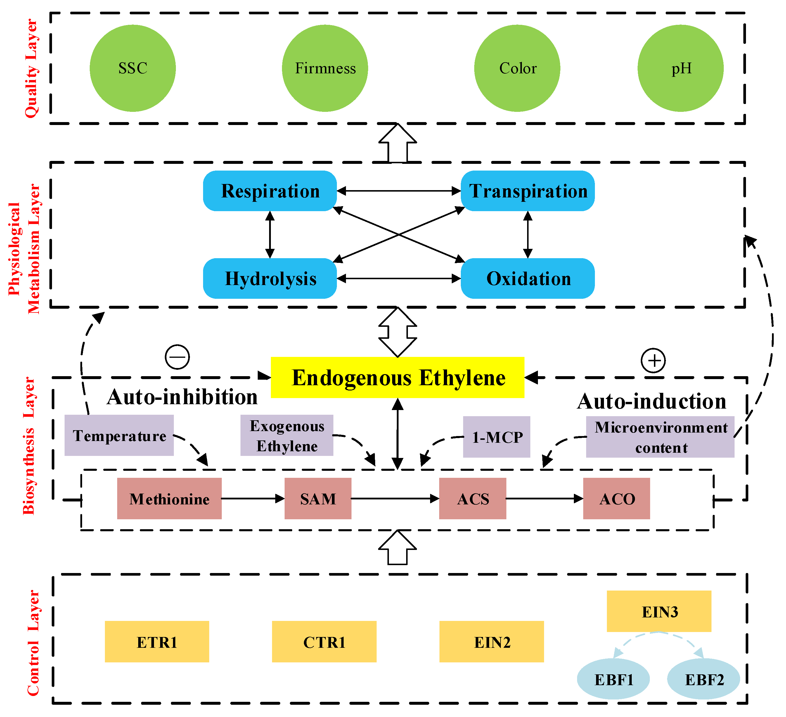 Sensors 20 05830 g002