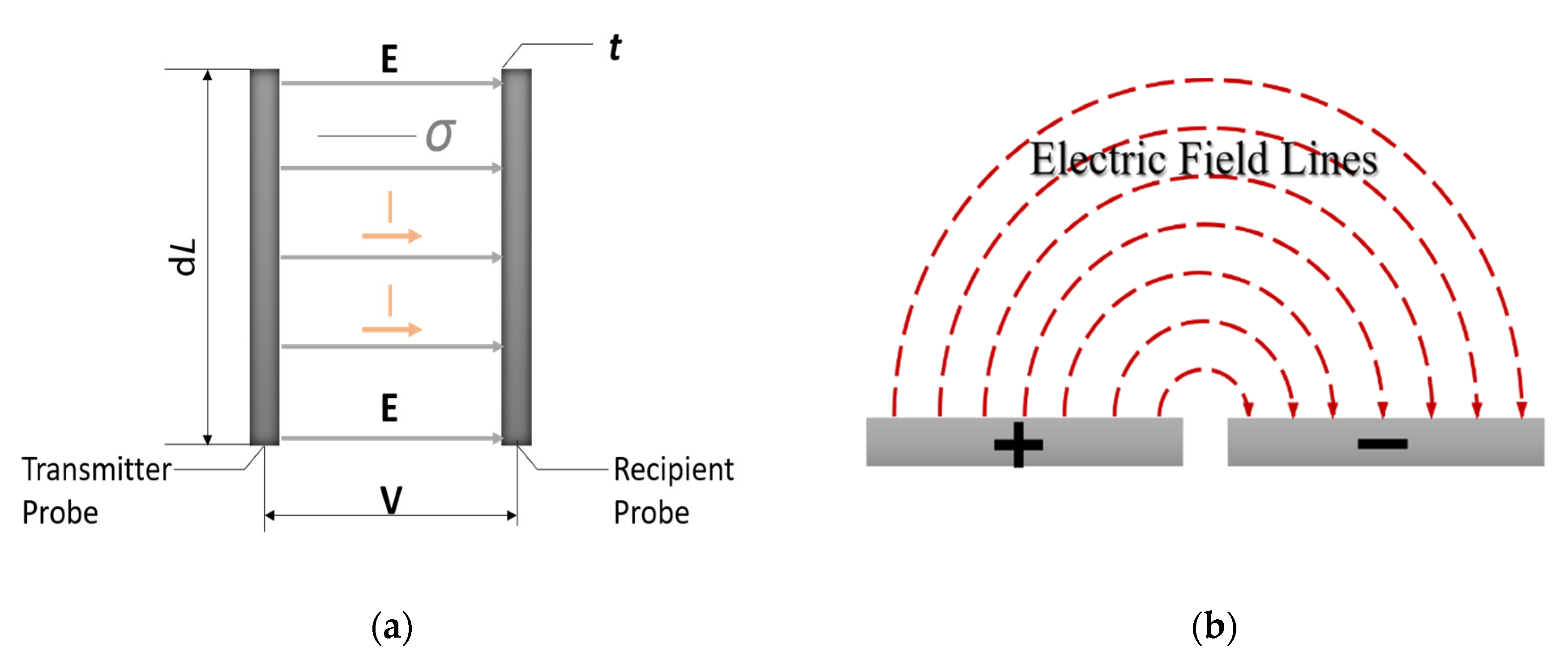 Sensors 20 05854 g002
