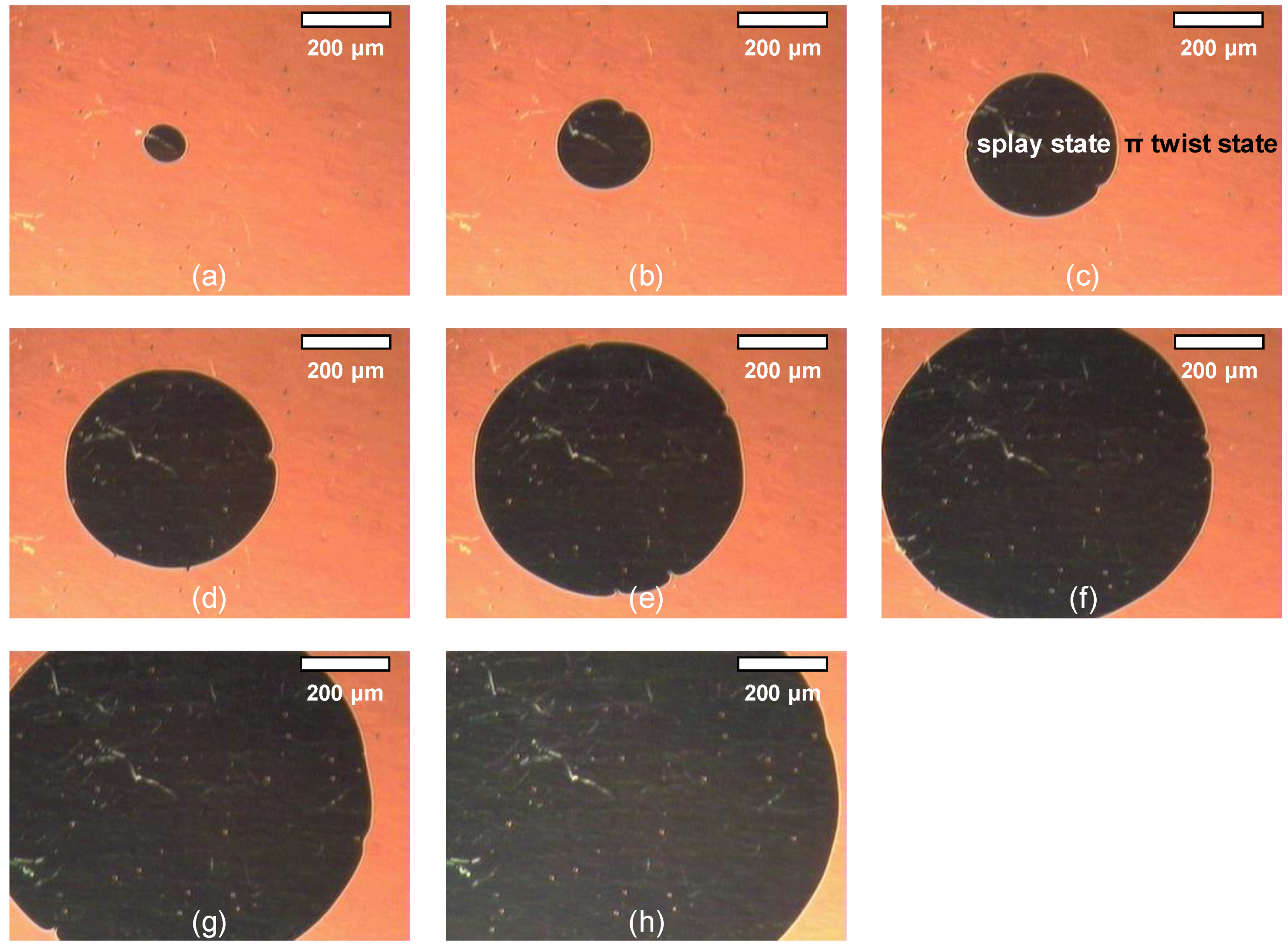 Sensors 20 05937 g003