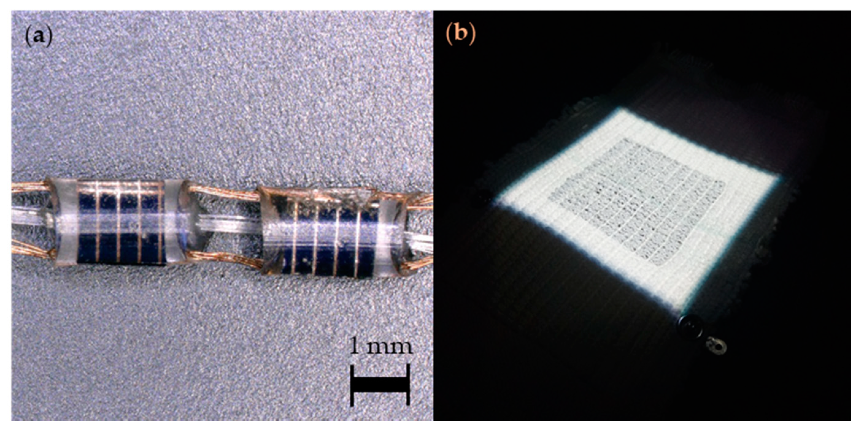 Sensors 20 05938 g004