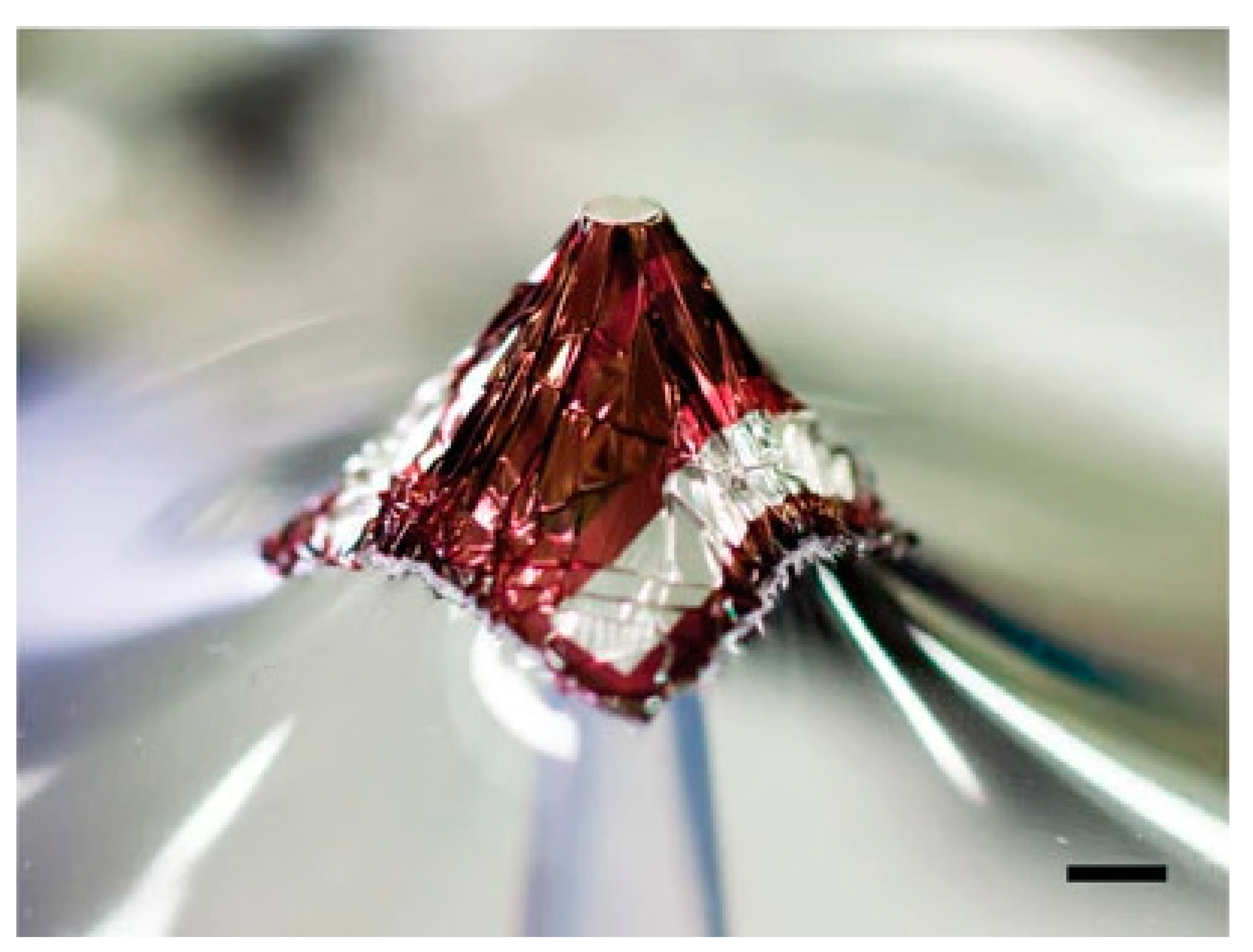 Sensors 20 05938 g006