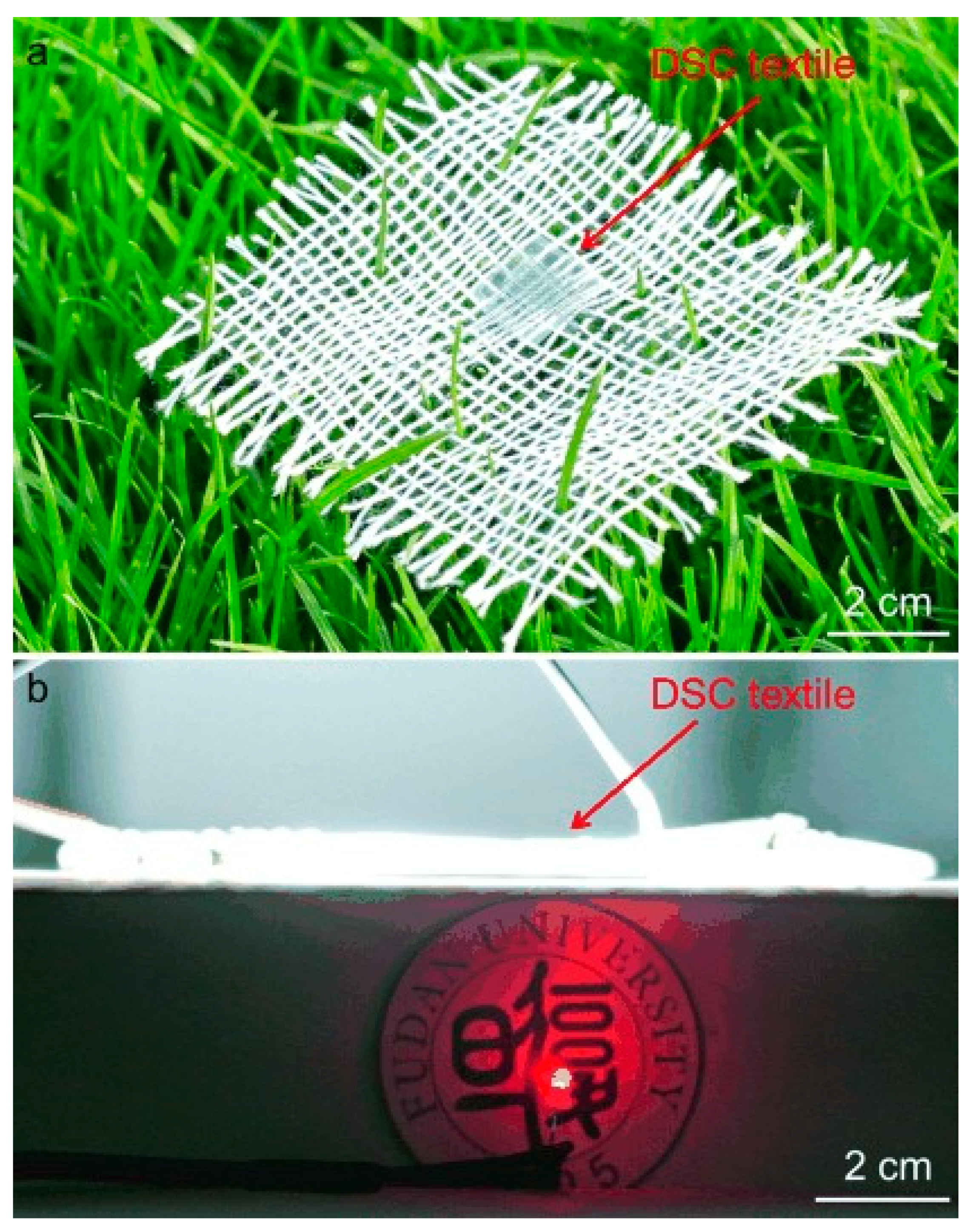 Sensors 20 05938 g014