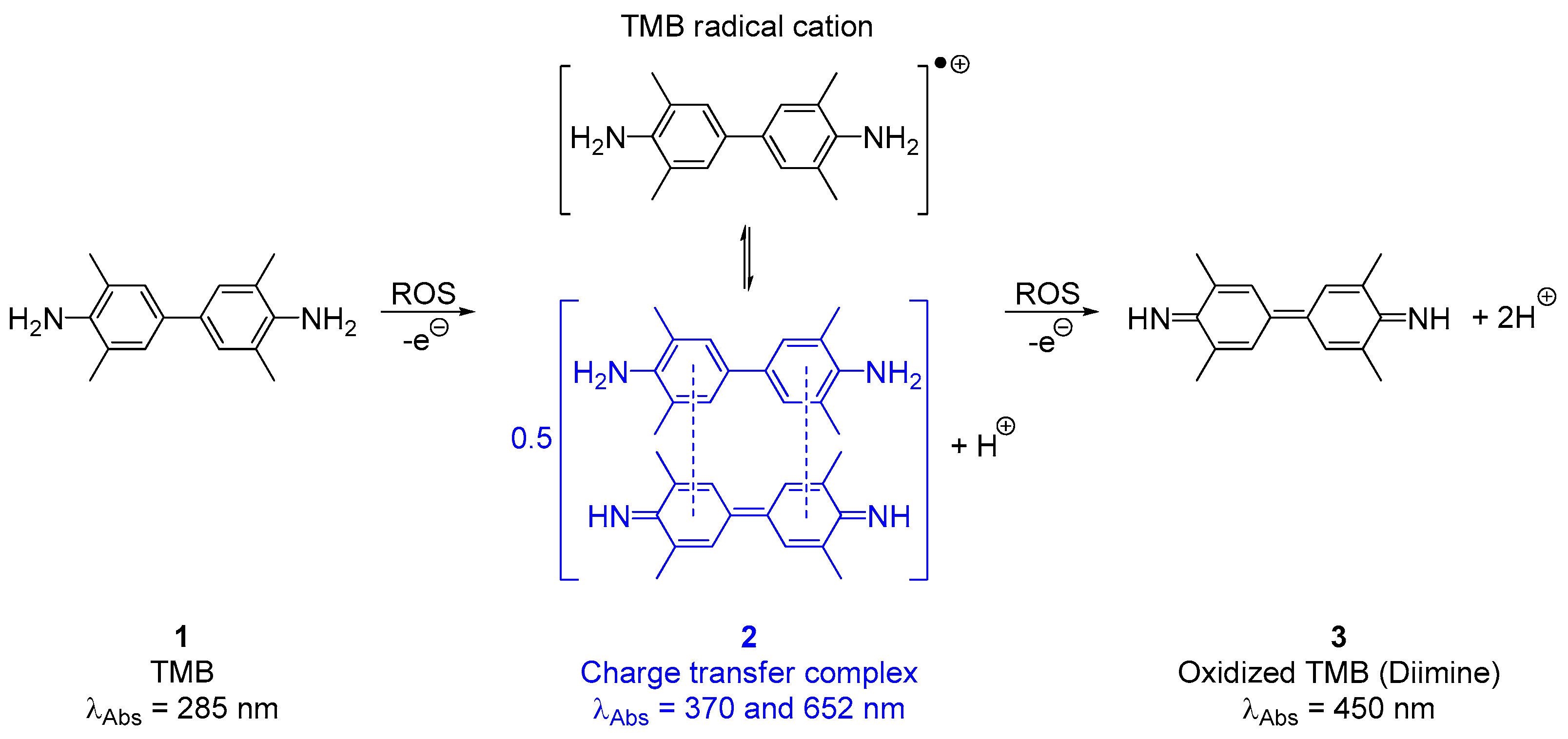 Sensors 20 05952 sch001 Sensors 20 05952 sch001