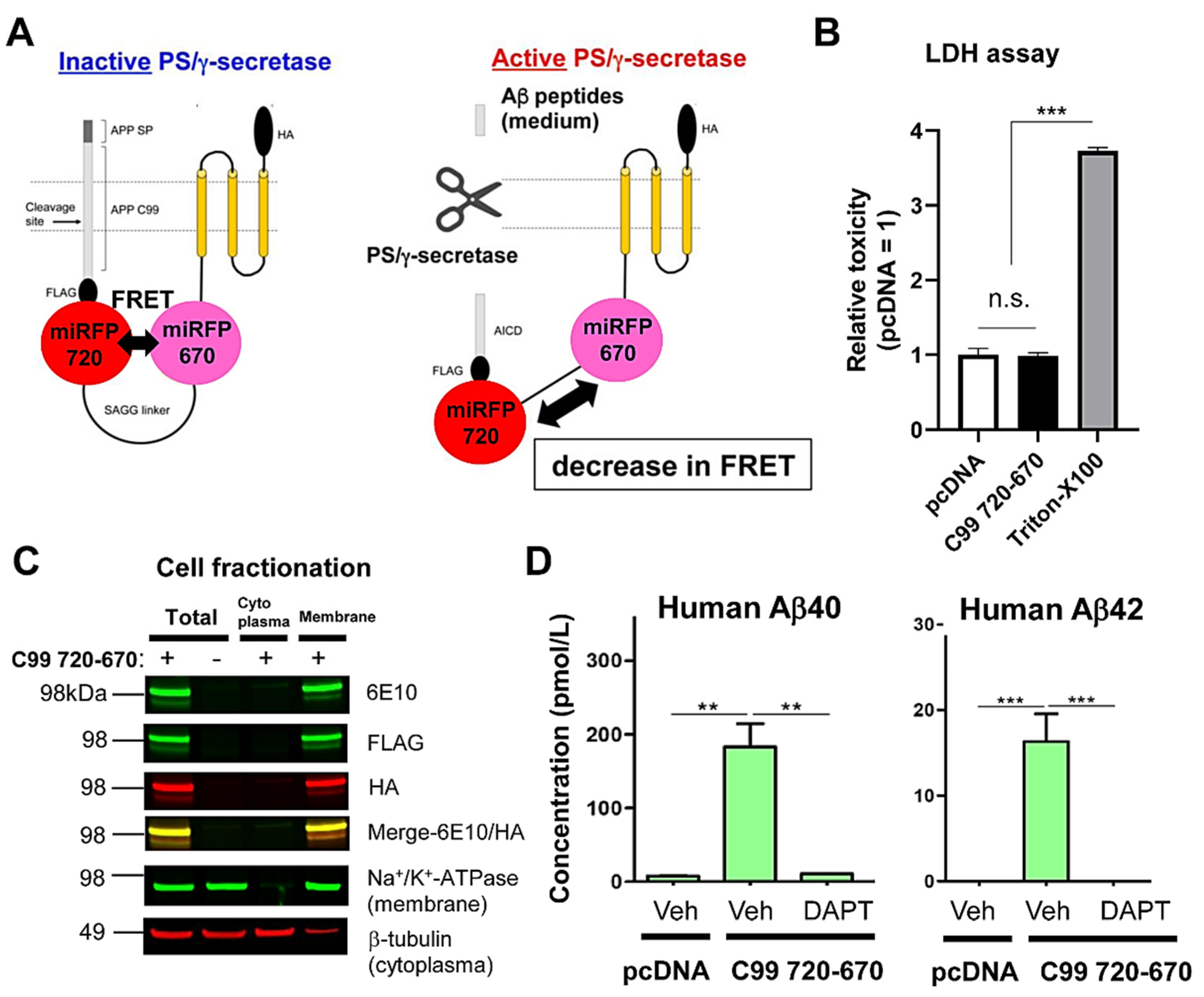 Sensors 20 05980 g001