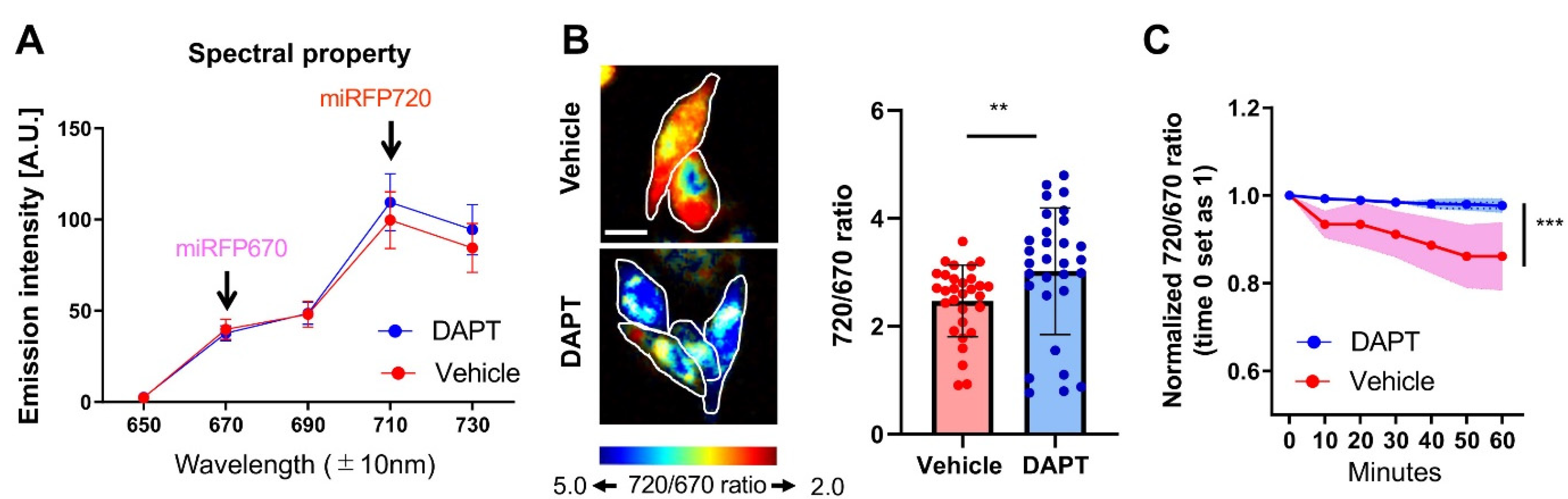 Sensors 20 05980 g002