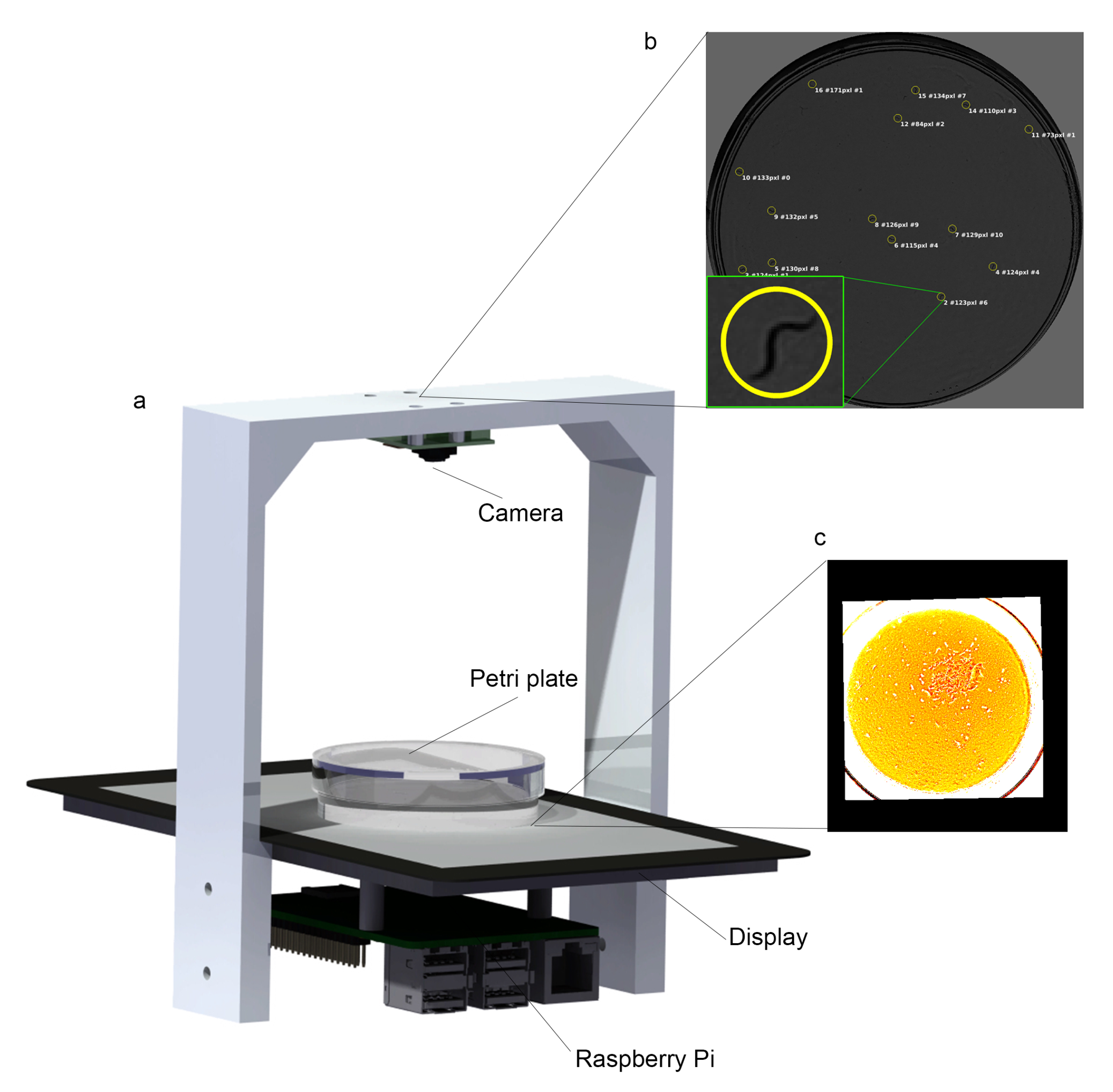 Sensors 20 05981 g001